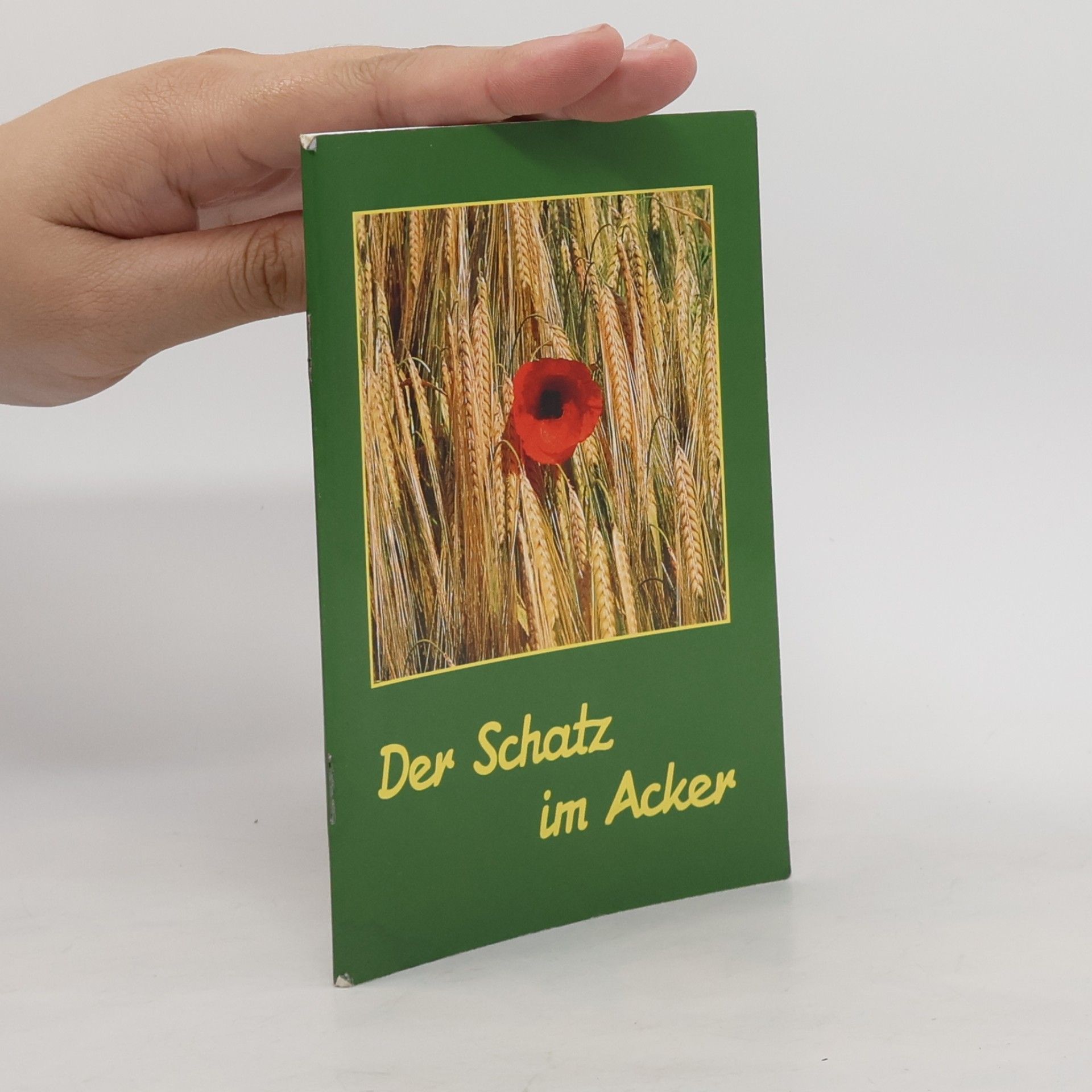 AA.VV. Der Schatz im Acker