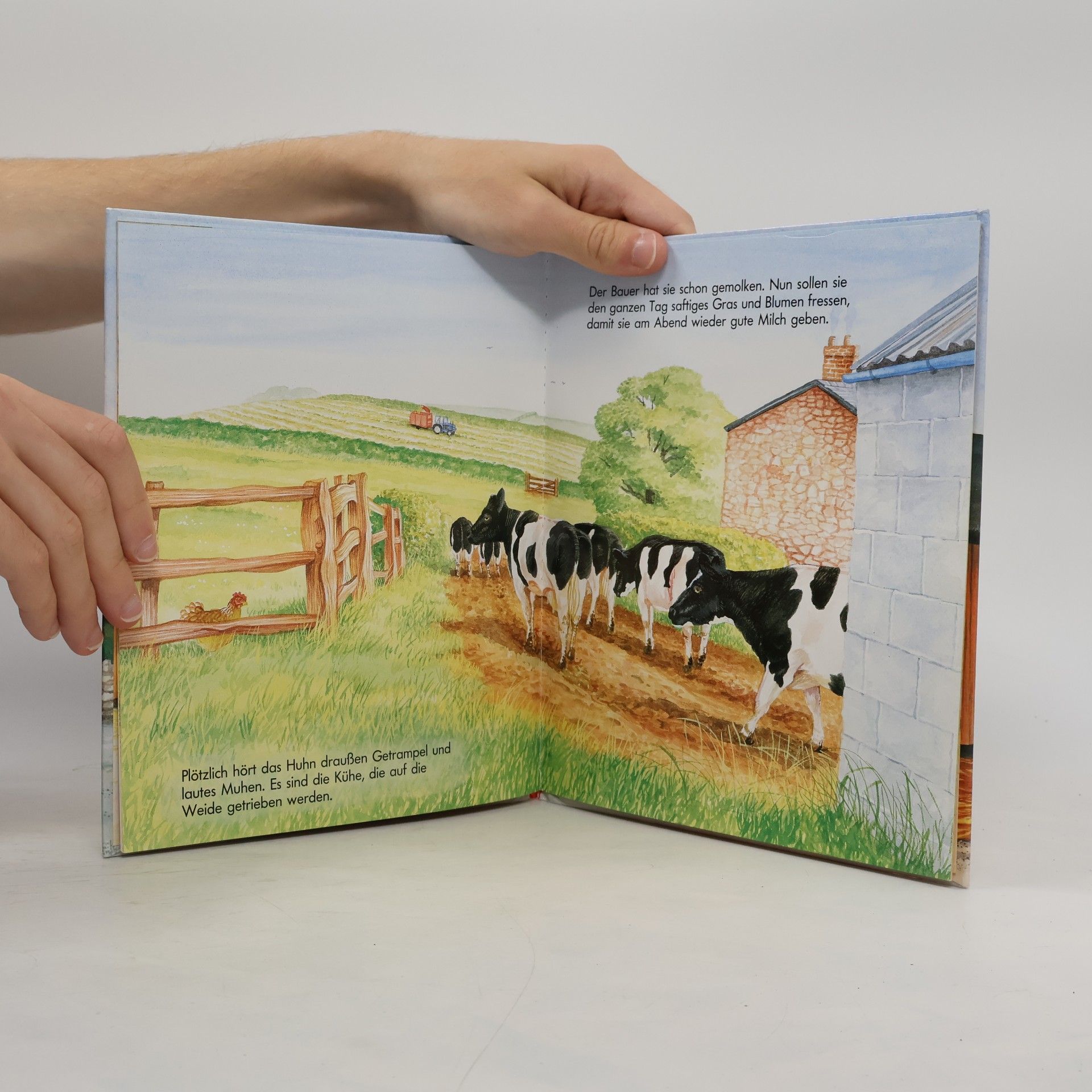 Peter Curry Ein erstes Naturbuch. Das Huhn Zeigt dir den Bauernhof