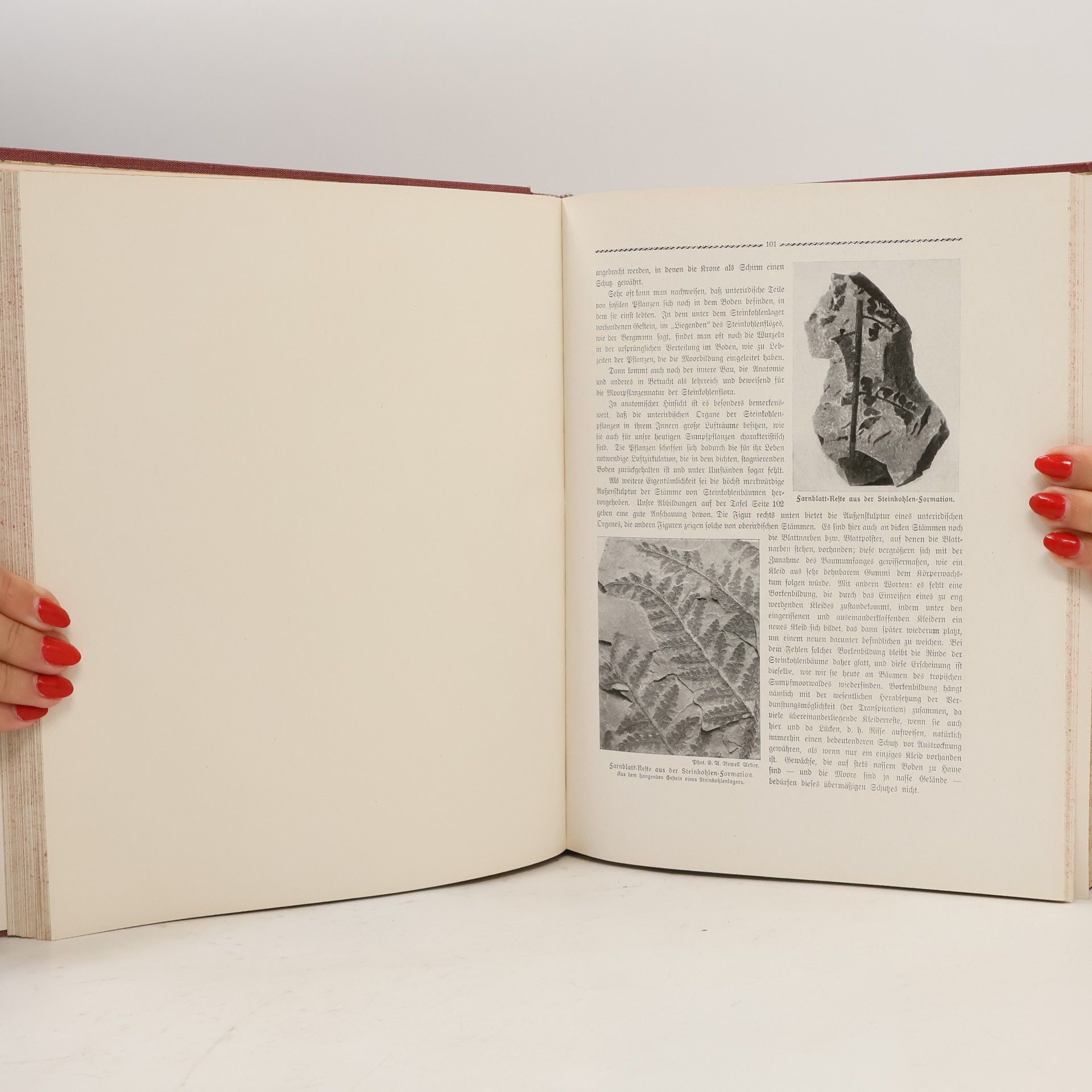 Collectif d'auteurs Die Wunder der Natur