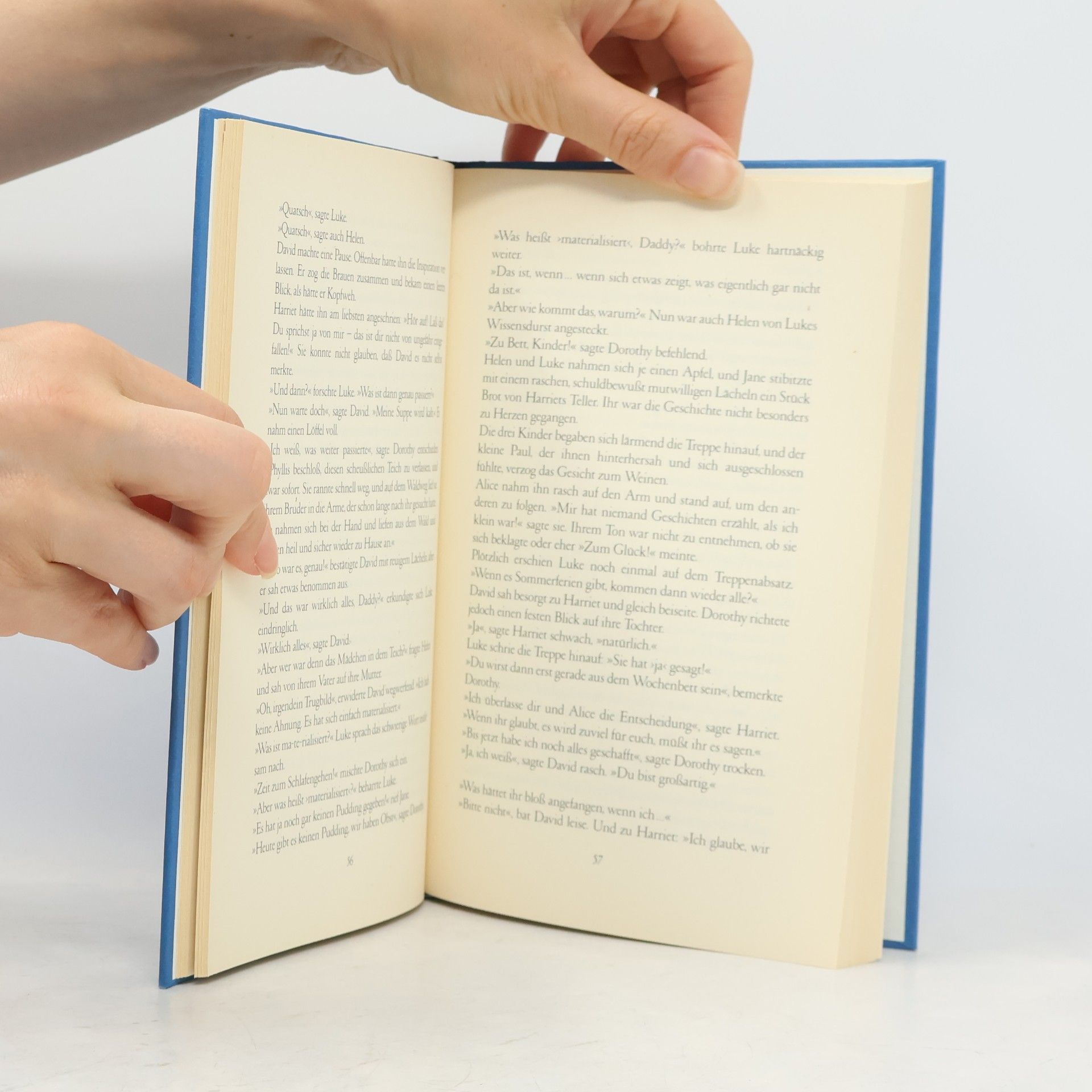 Doris Lessing Das fünfte Kind