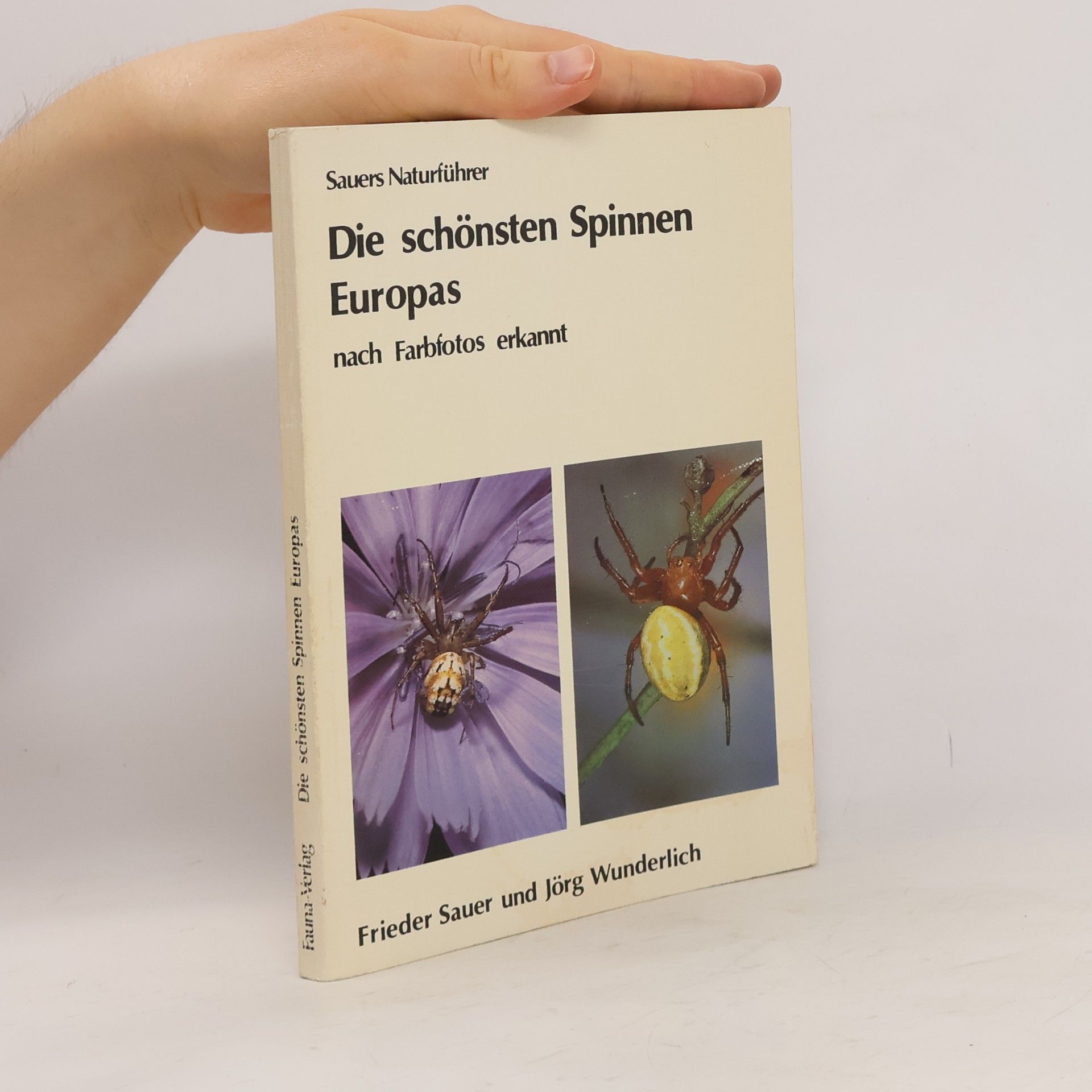 Jörg Wunderlich Die Schönsten Spinnen Europas