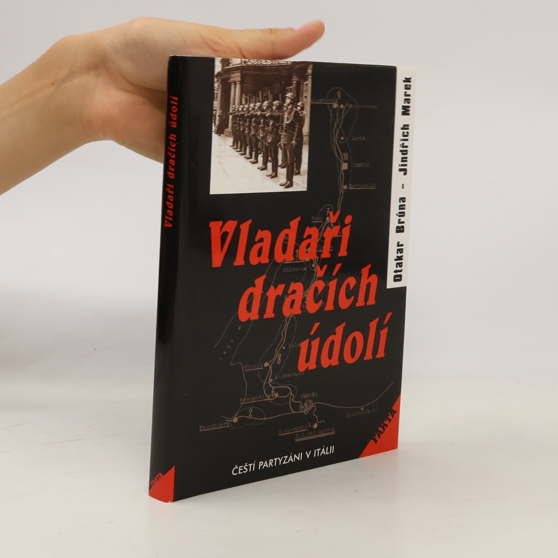 Jindřich Marek Vladaři dračích údolí