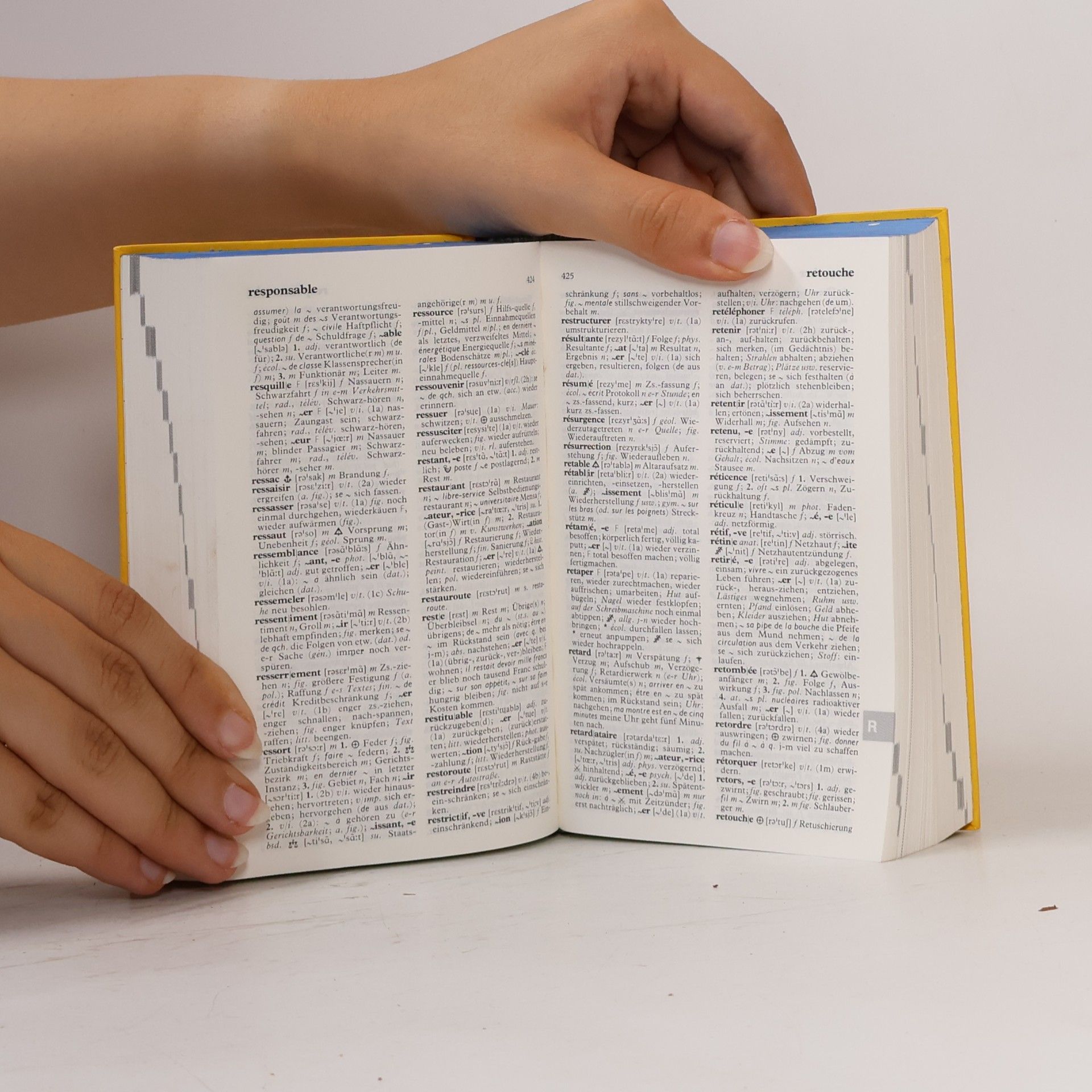Ernst Erwin Lange-Kowal Langenscheidts Taschenwörterbuch Französisch