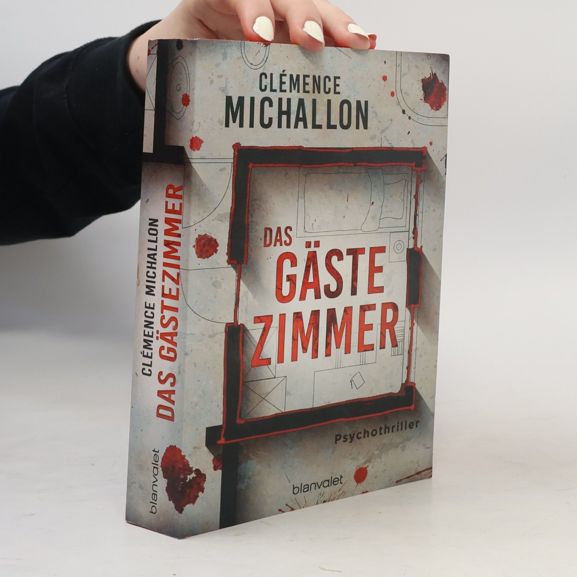 Clémence Michallon Das Gästezimmer