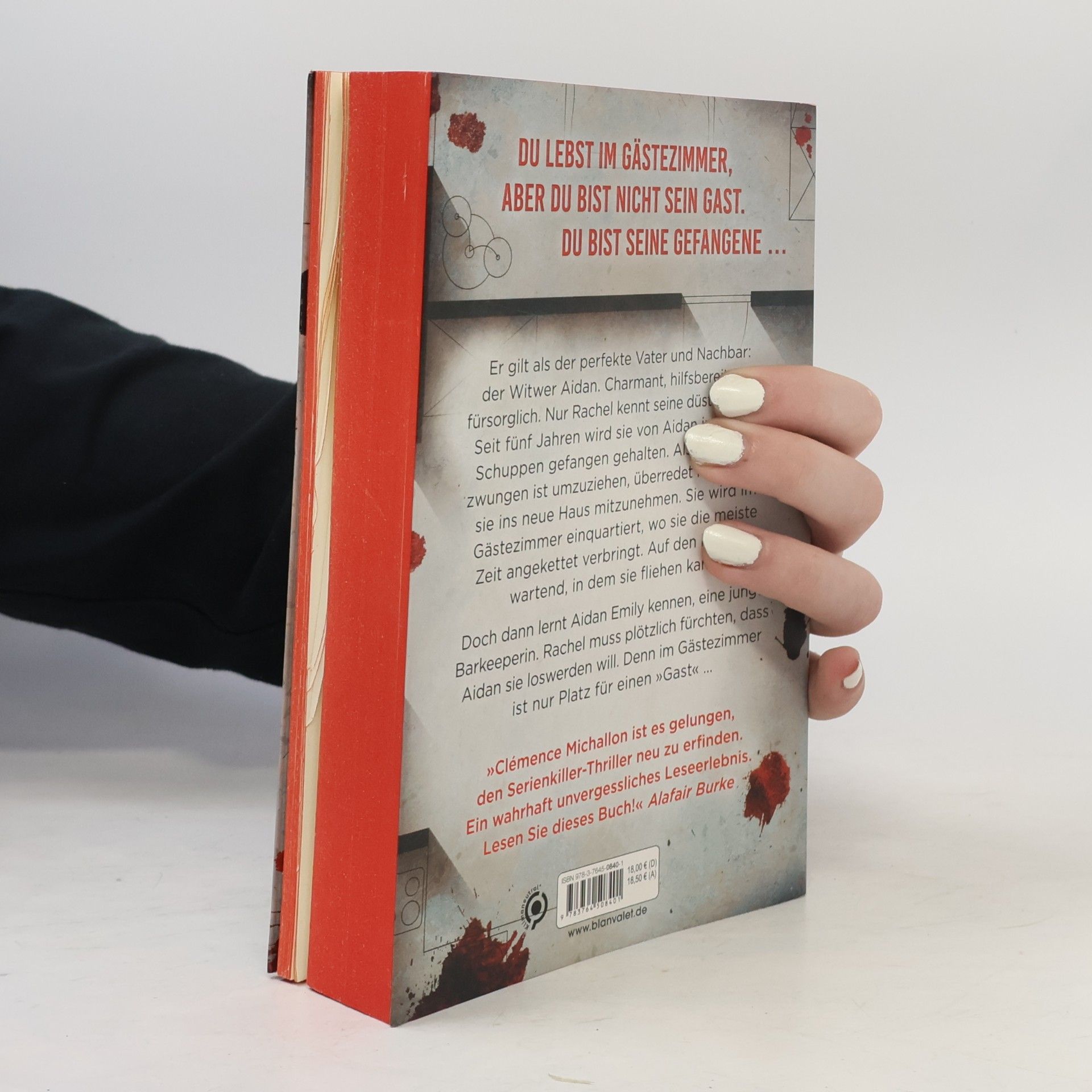 Clémence Michallon Das Gästezimmer