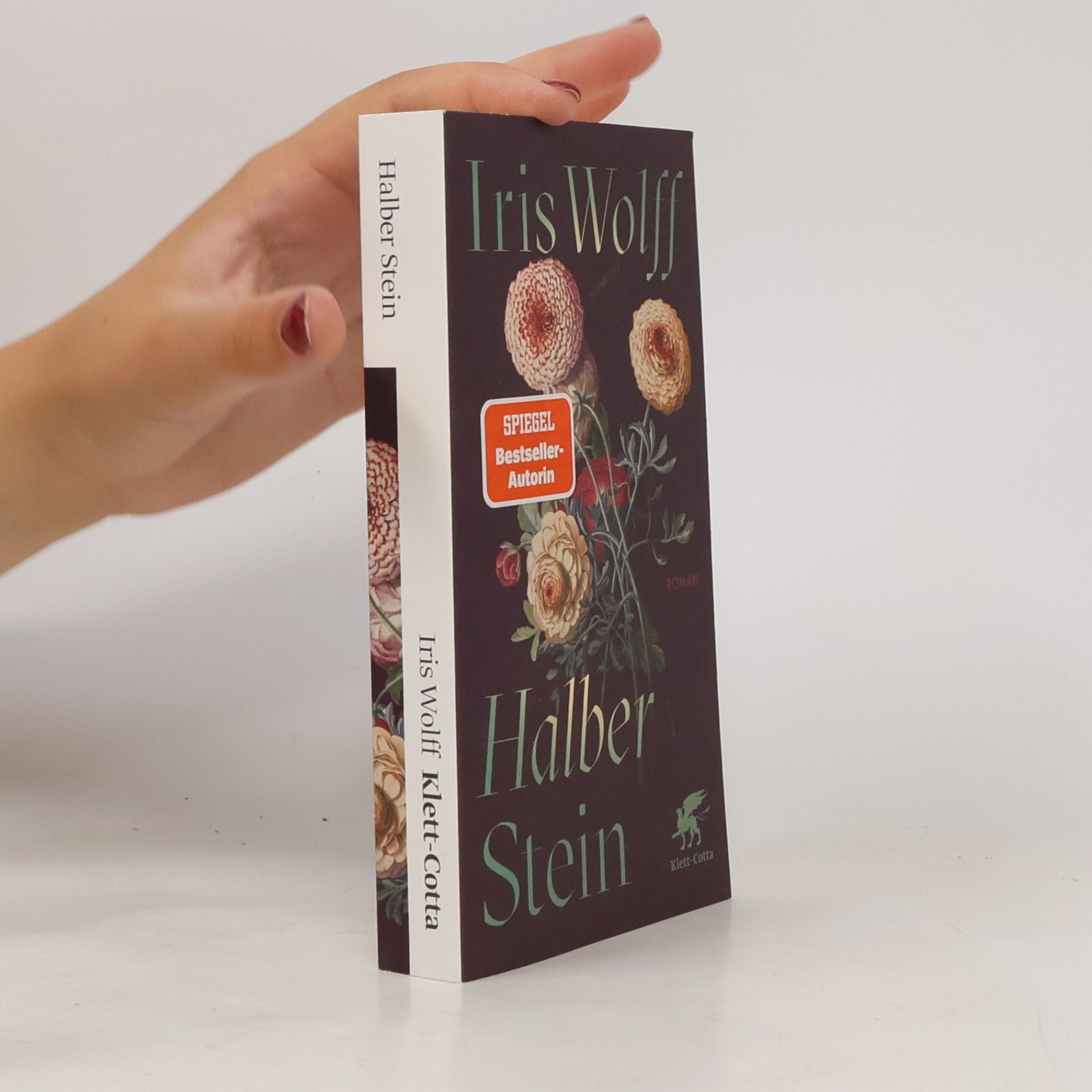 Iris Wolff Halber Stein: Roman