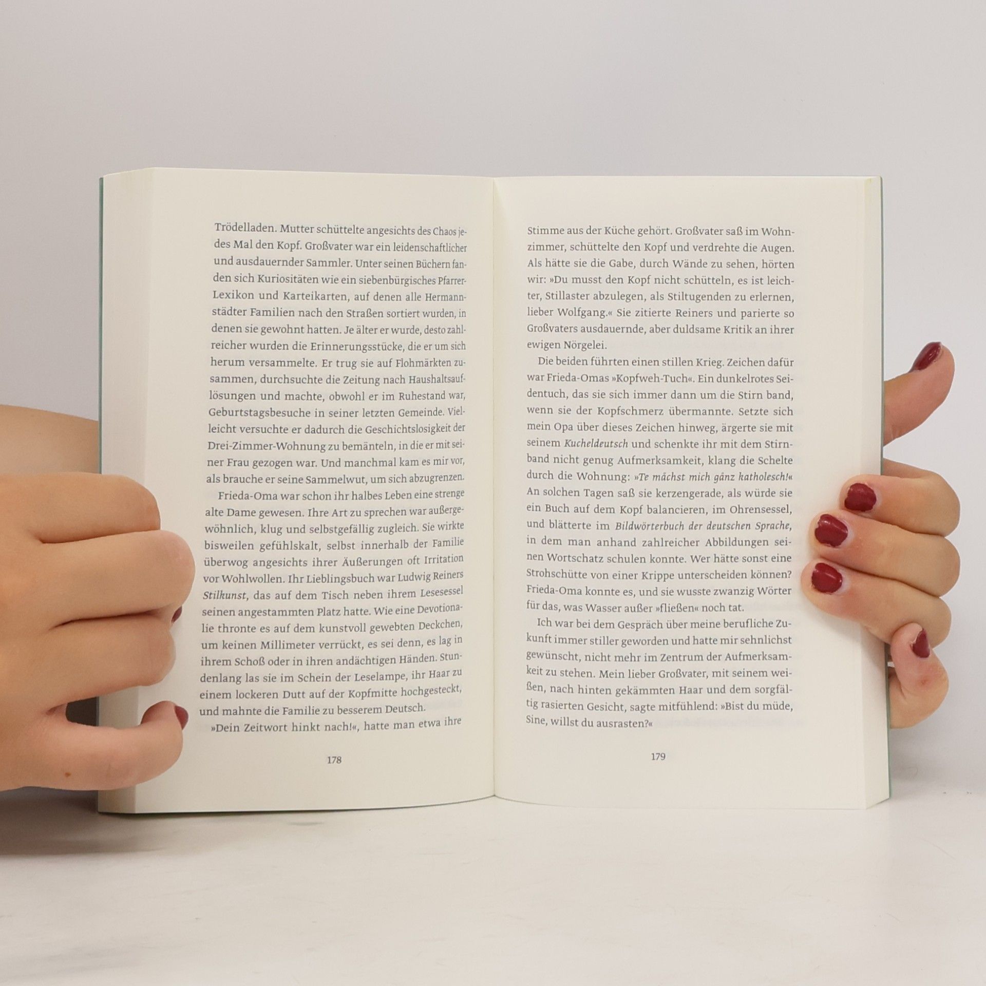 Iris Wolff Halber Stein: Roman