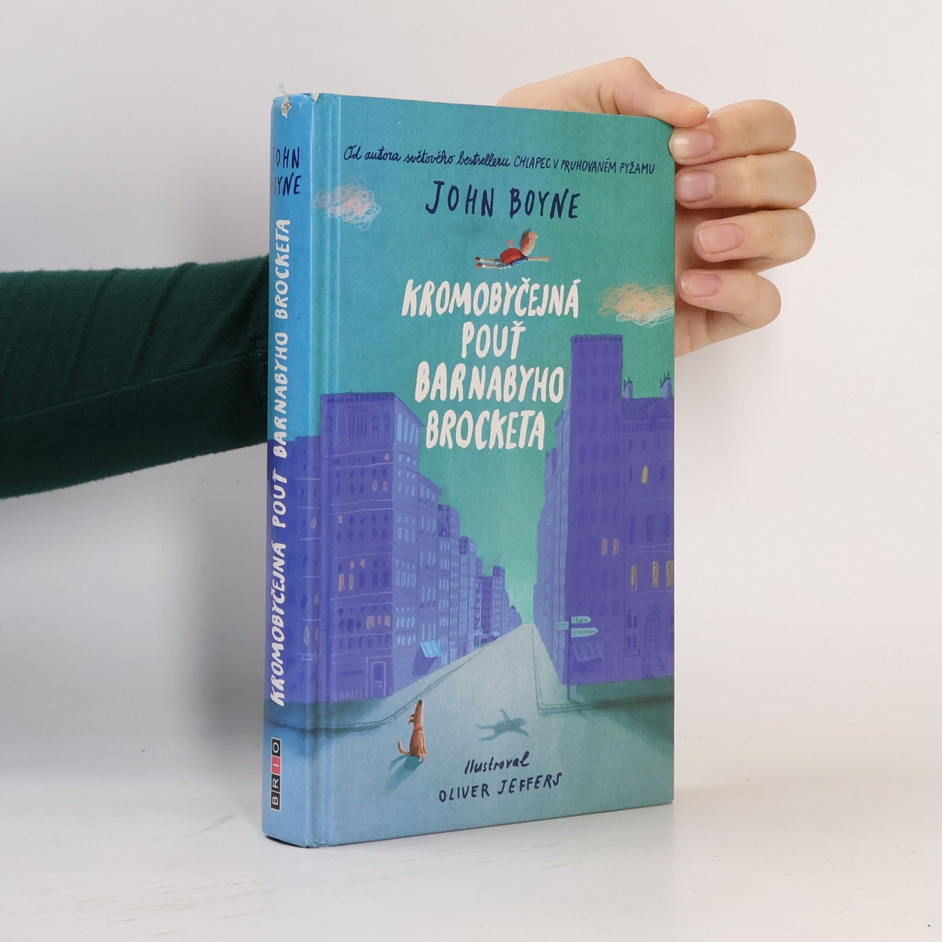 John Boyne Kromobyčejná pouť Barnabyho Brocketa