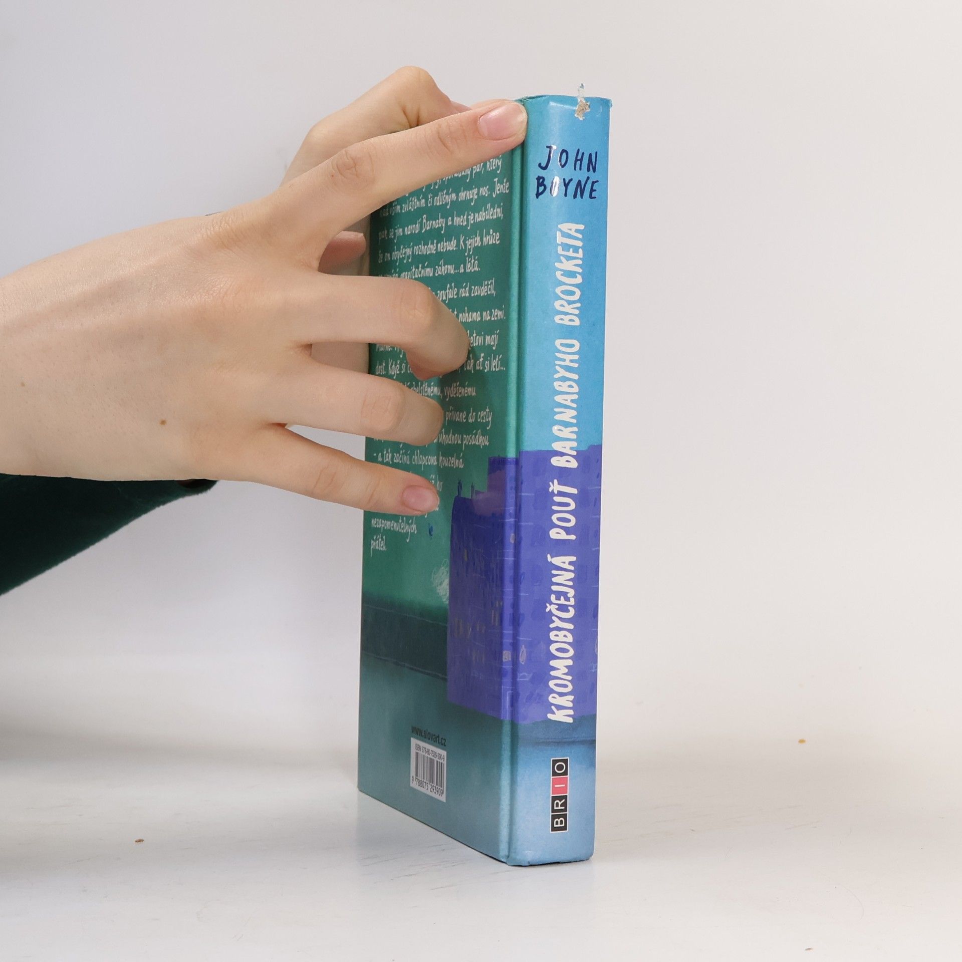 John Boyne Kromobyčejná pouť Barnabyho Brocketa