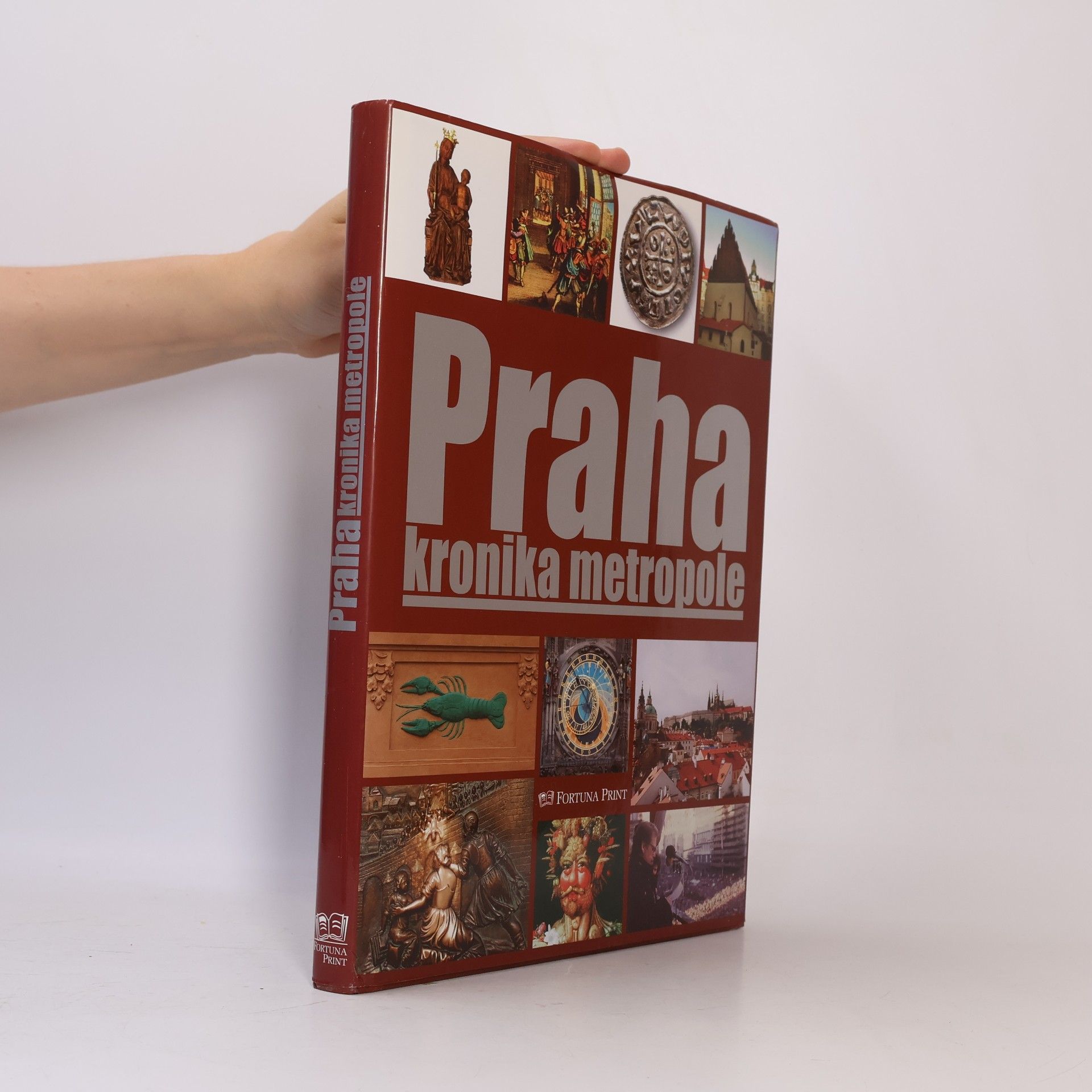 Pavel Bělina Praha : kronika metropole