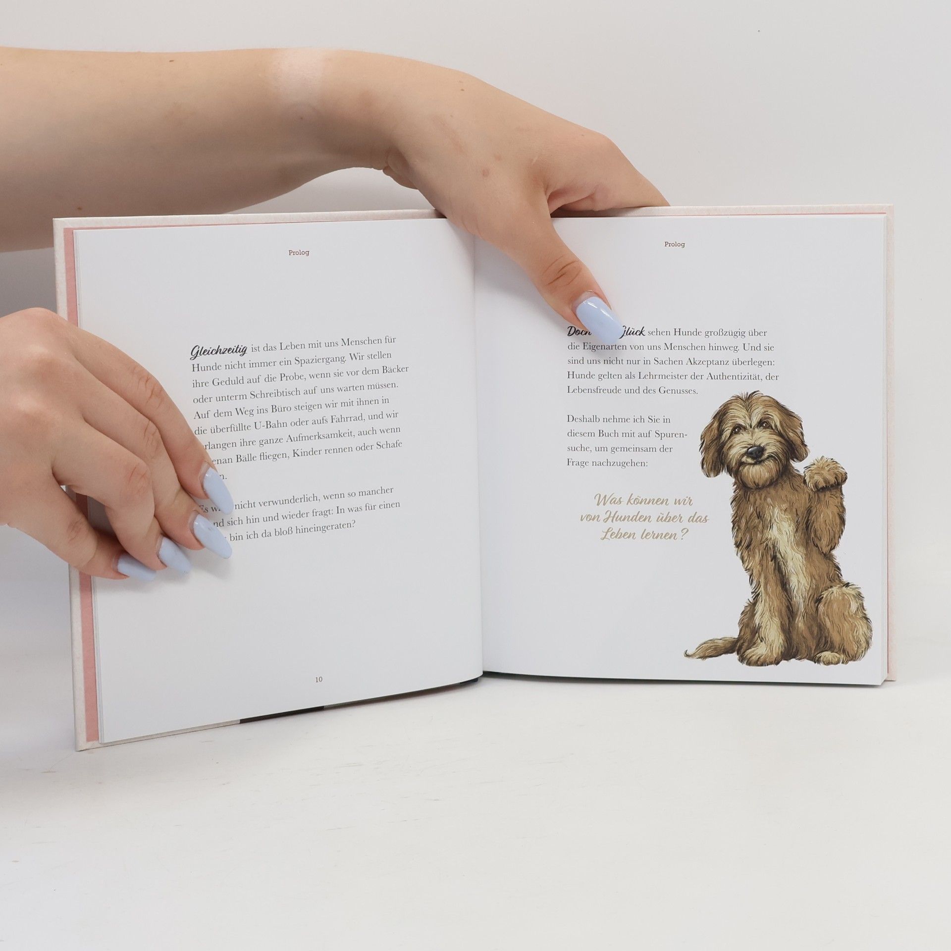 Sarah Klüß Kleine Hundephilosophie. Was wir von Hunden lernen können