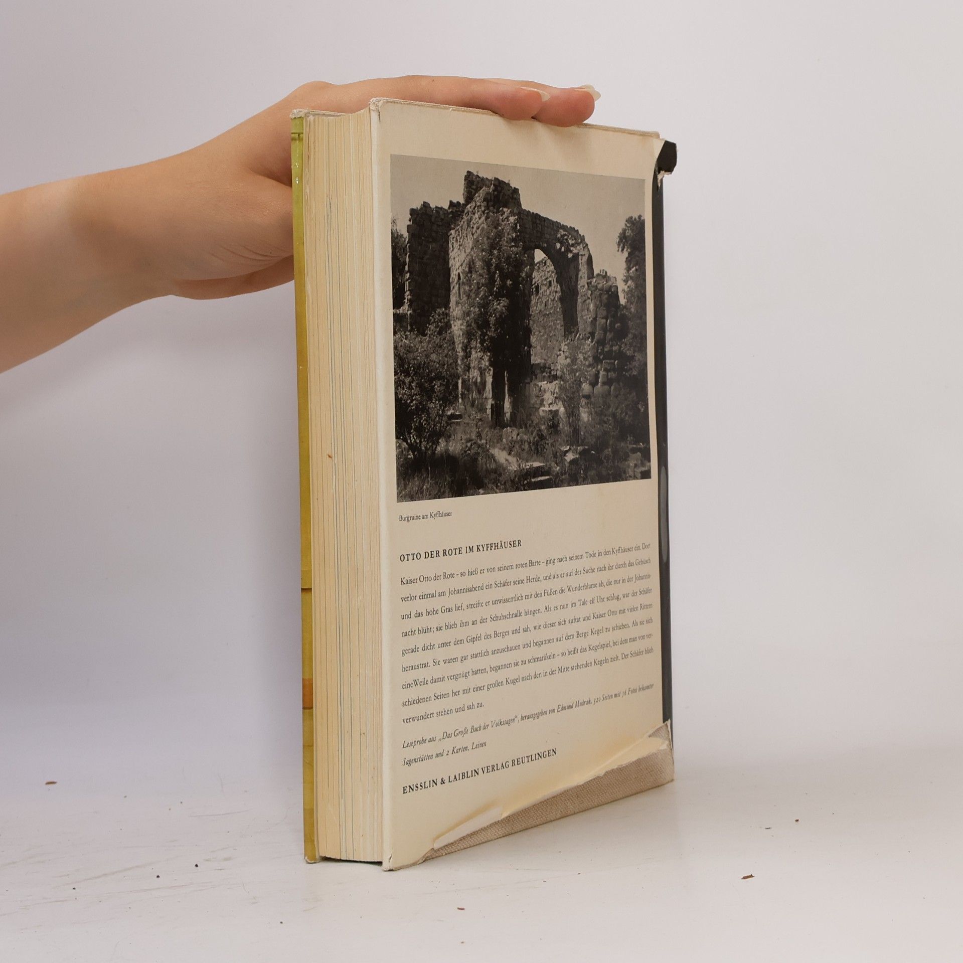 Autorenkollektiv Das Buch der grossen Maler