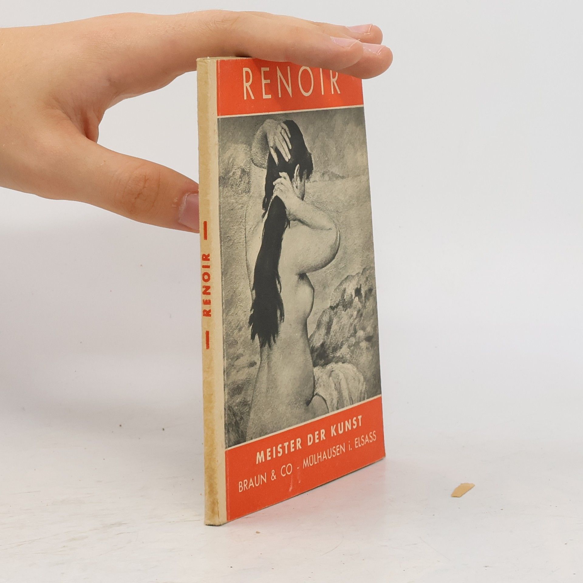 Autorenkollektiv Renoir