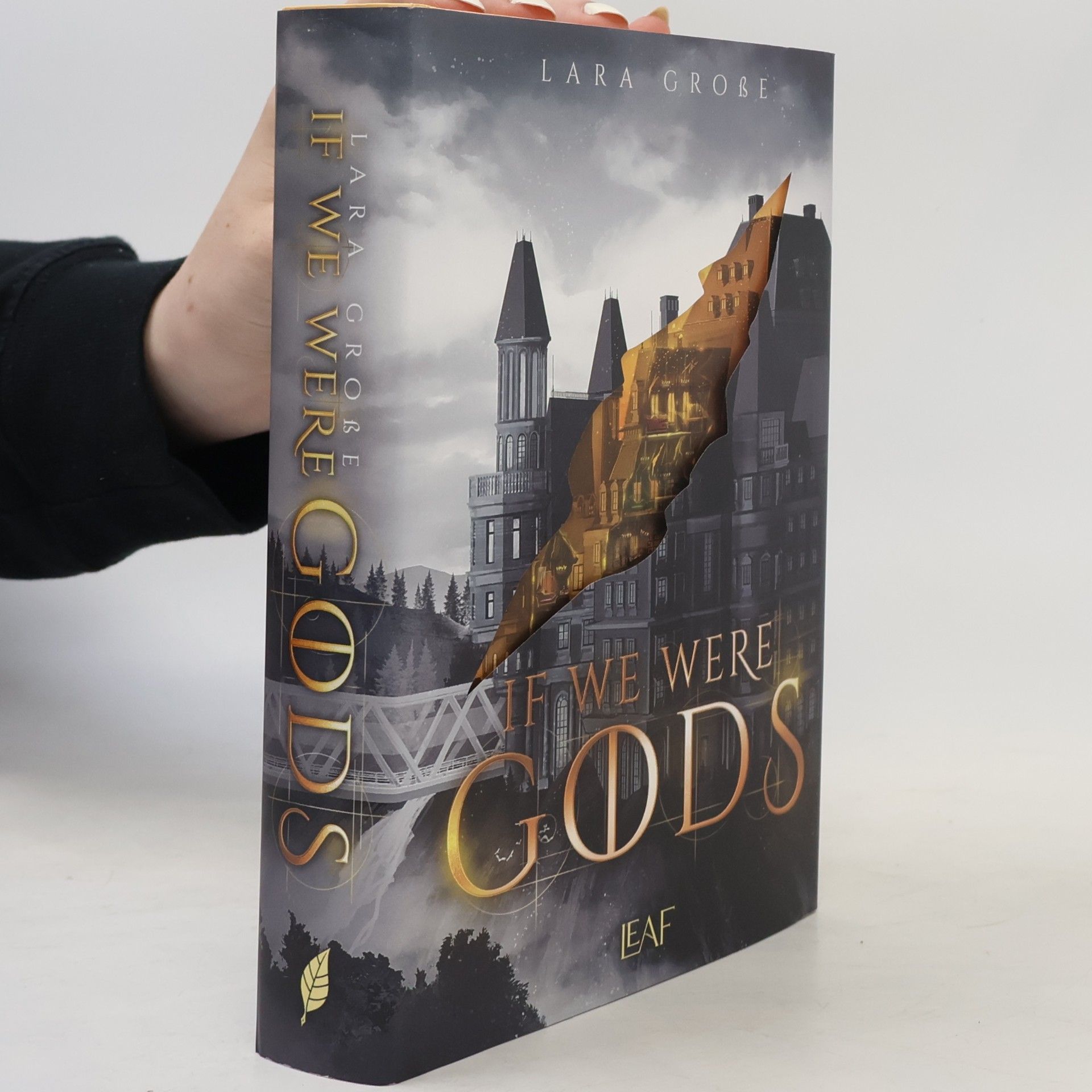 Lara Große If We Were Gods