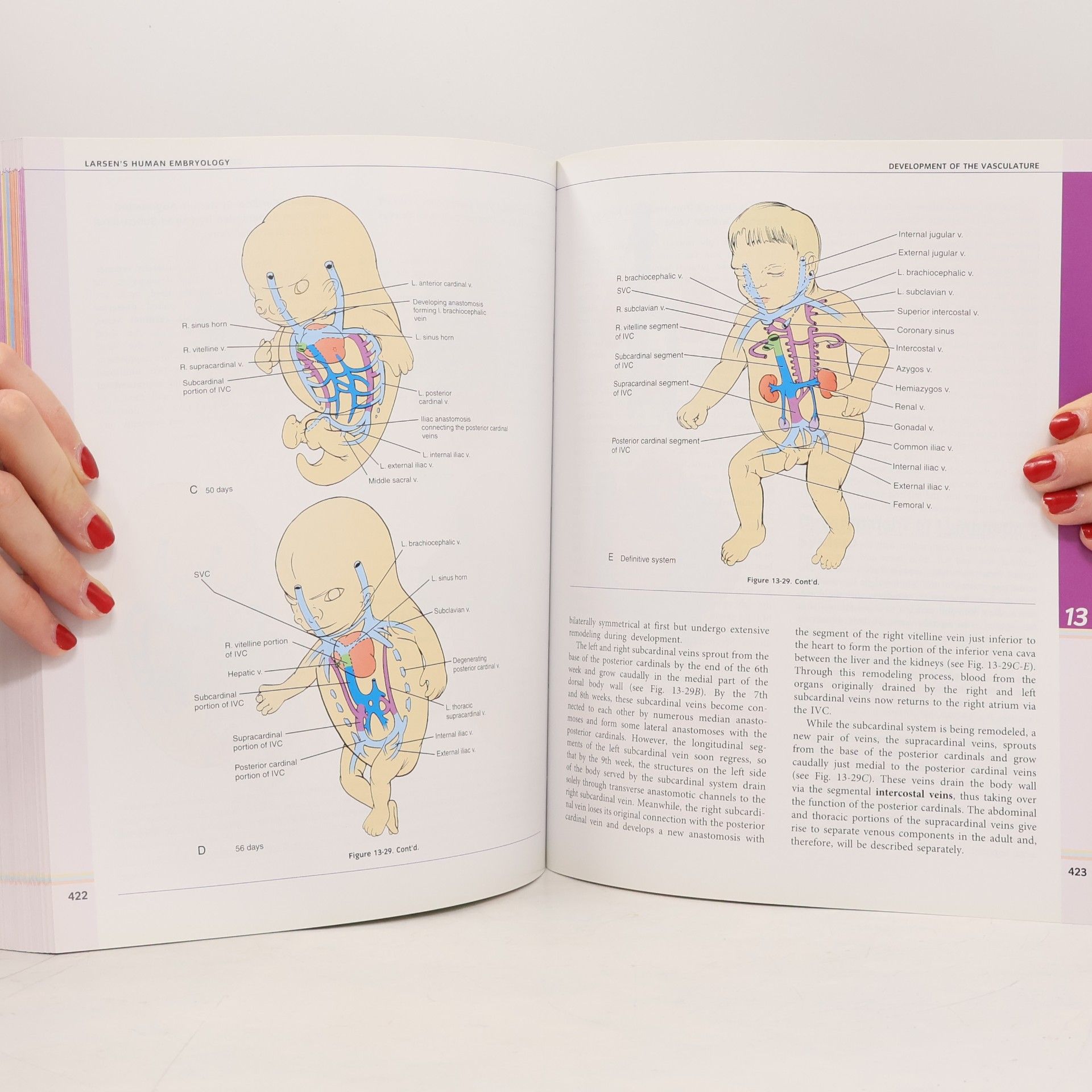 Gary C. Schoenwolf Larsen's Human Embryology - Fourth Edition
