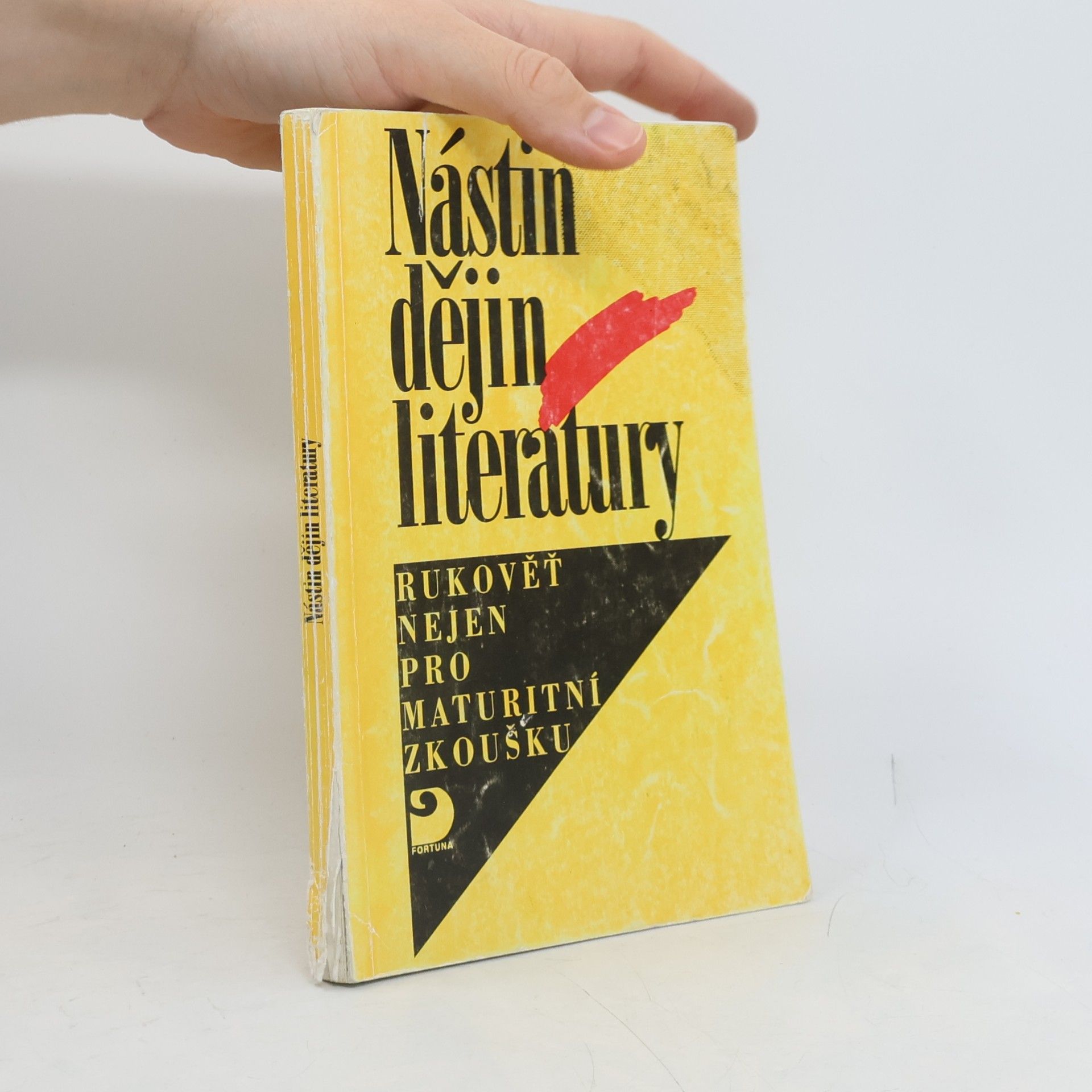 Nástin dějin literatury : rukověť nejen pro maturitní zkoušku