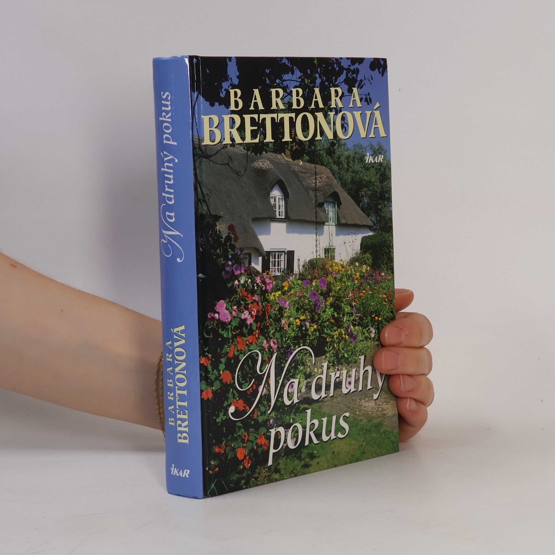Barbara Bretton Na druhý pokus