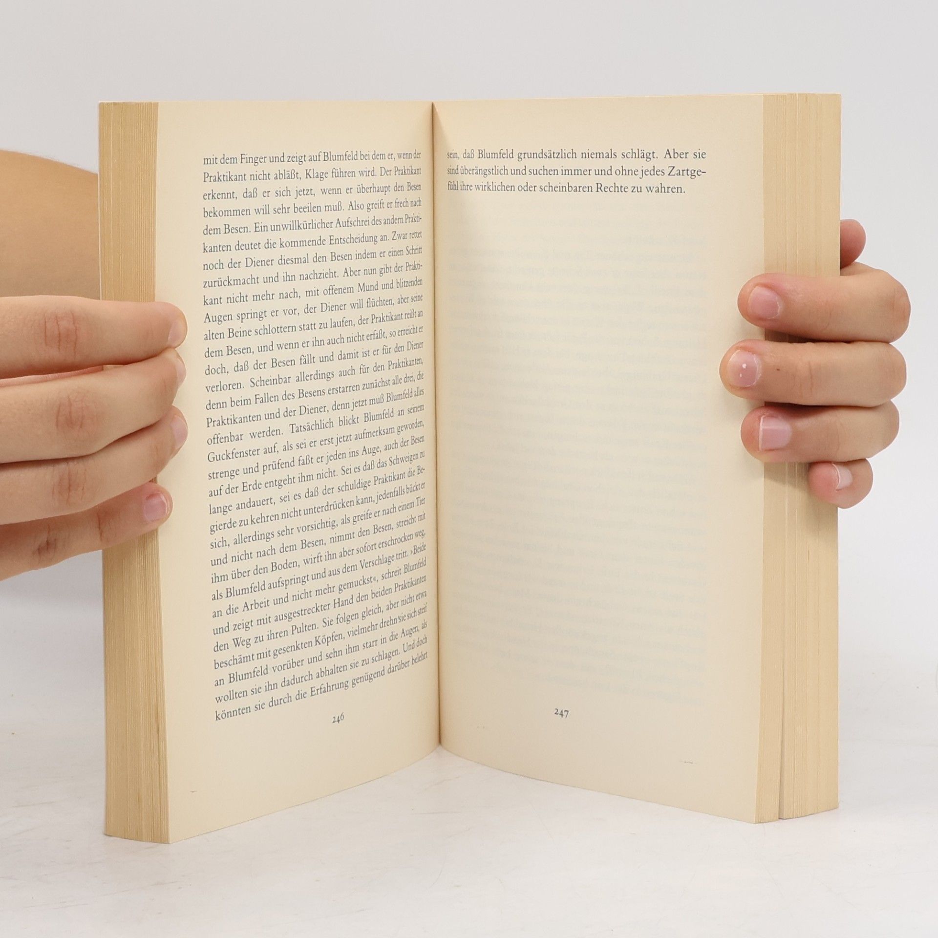 Franz Kafka Die Erzählungen