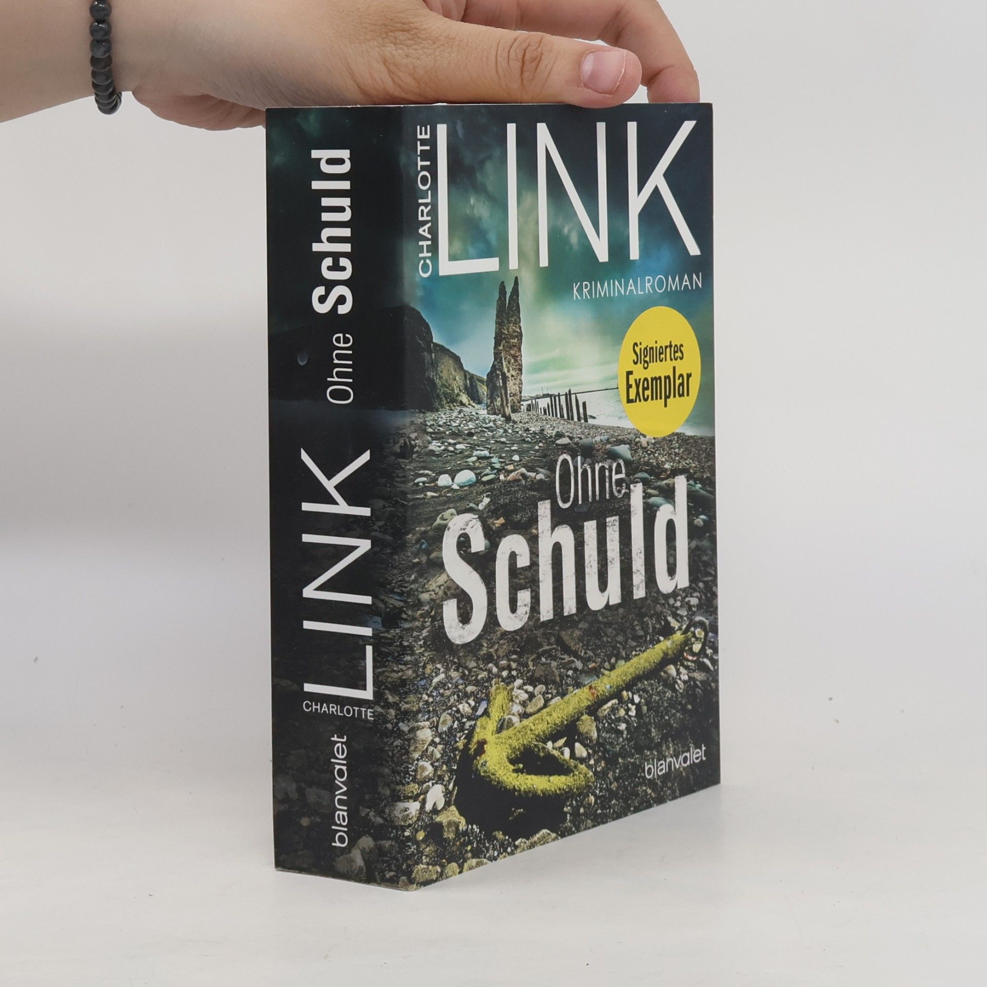 Charlotte Link Ohne Schuld
