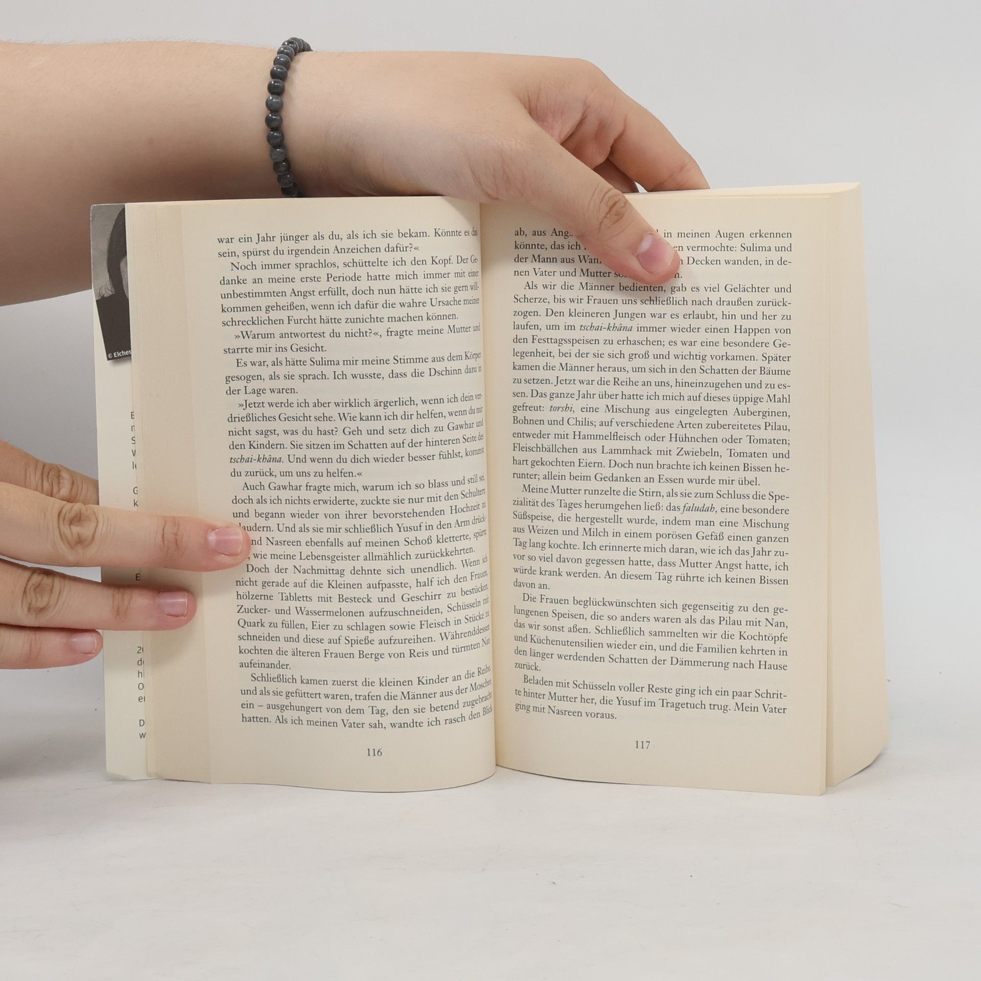 Linda Holeman Das Mondamulett