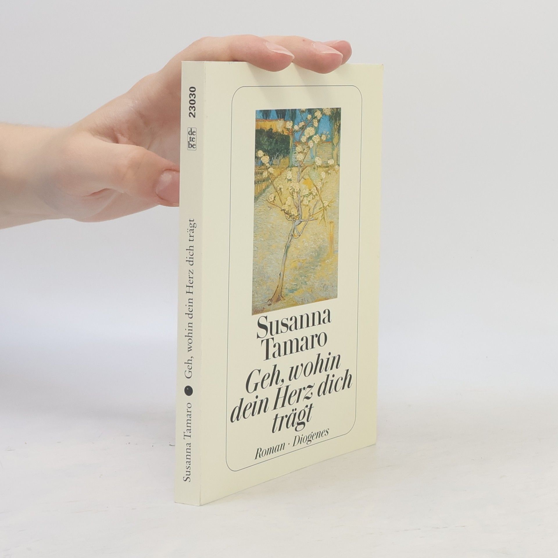 Susanna Tamaro Geh, wohin dein Herz dich trägt