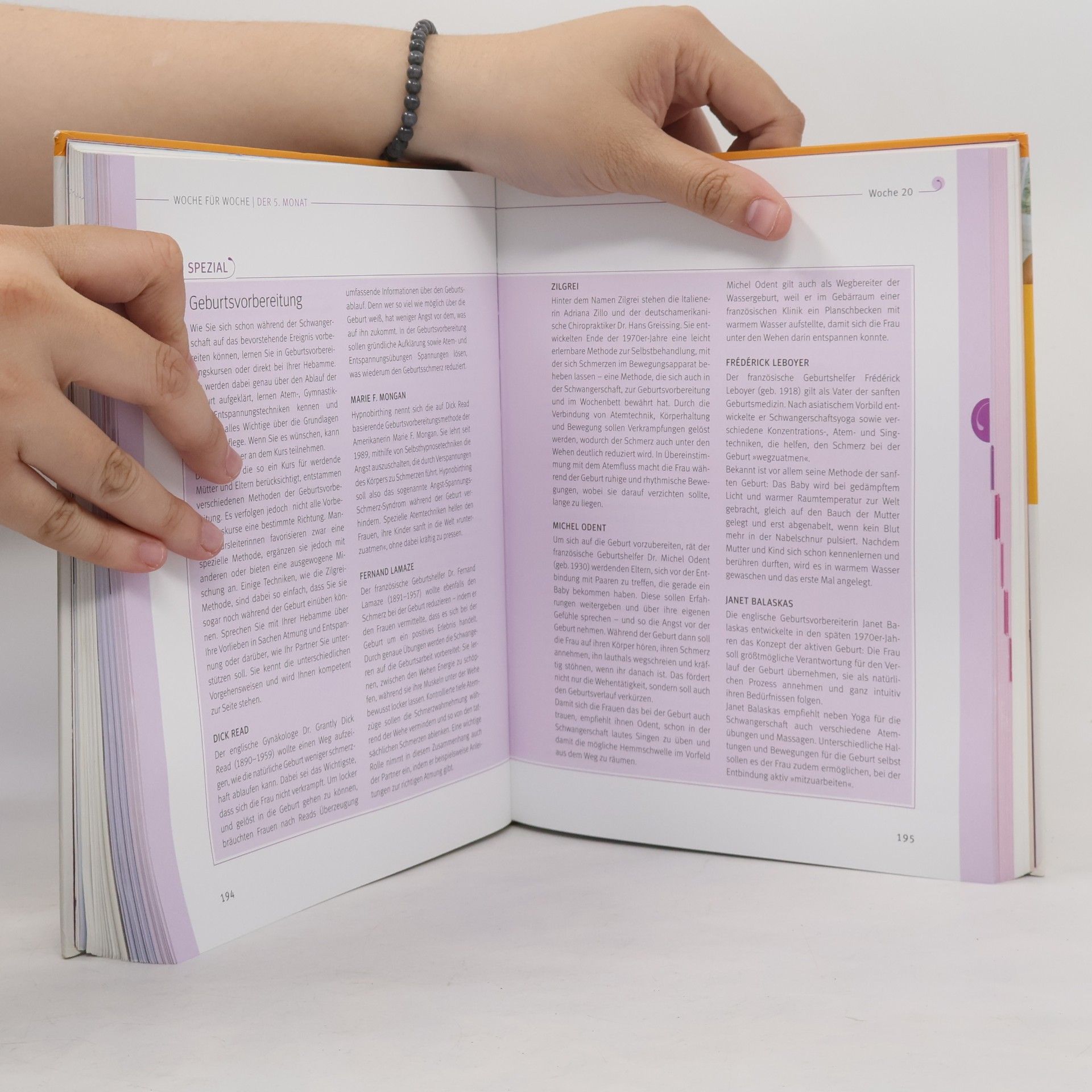 Annette Nolden-Thommen Das große Buch zur Schwangerschaft