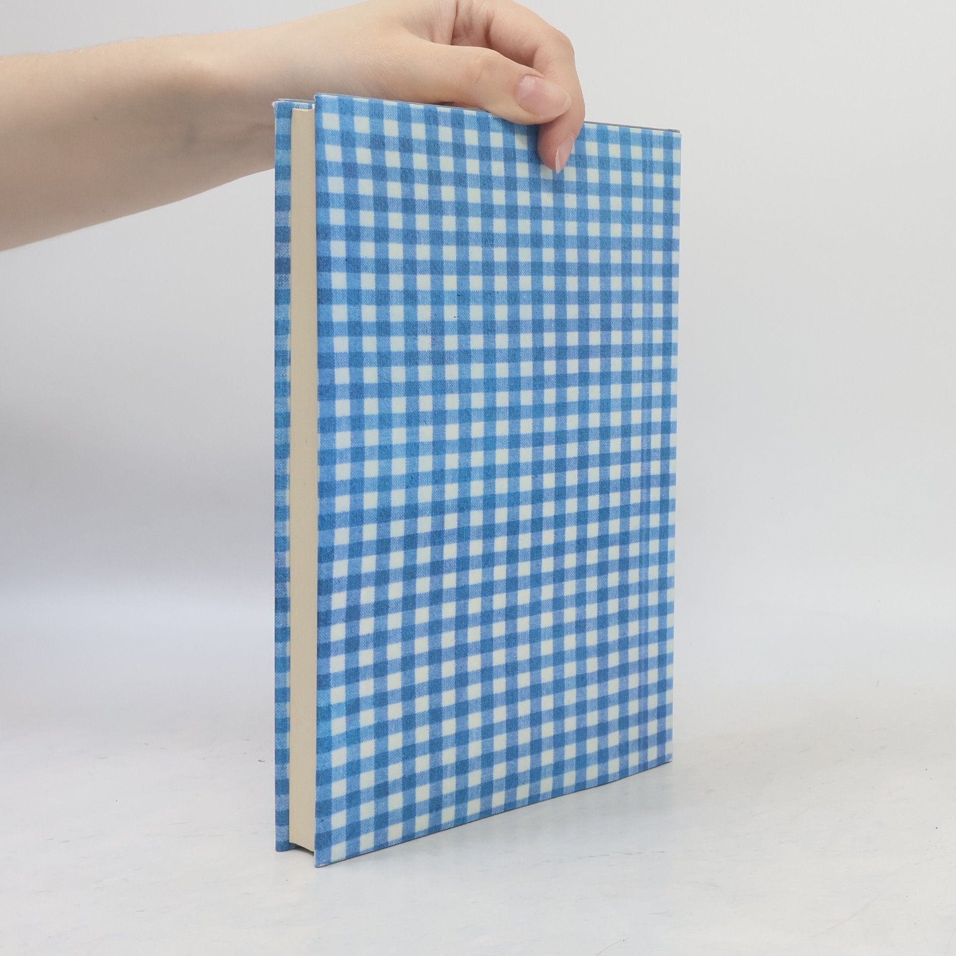 Autores varios Das weiss-blaue Kopfkissenbuch