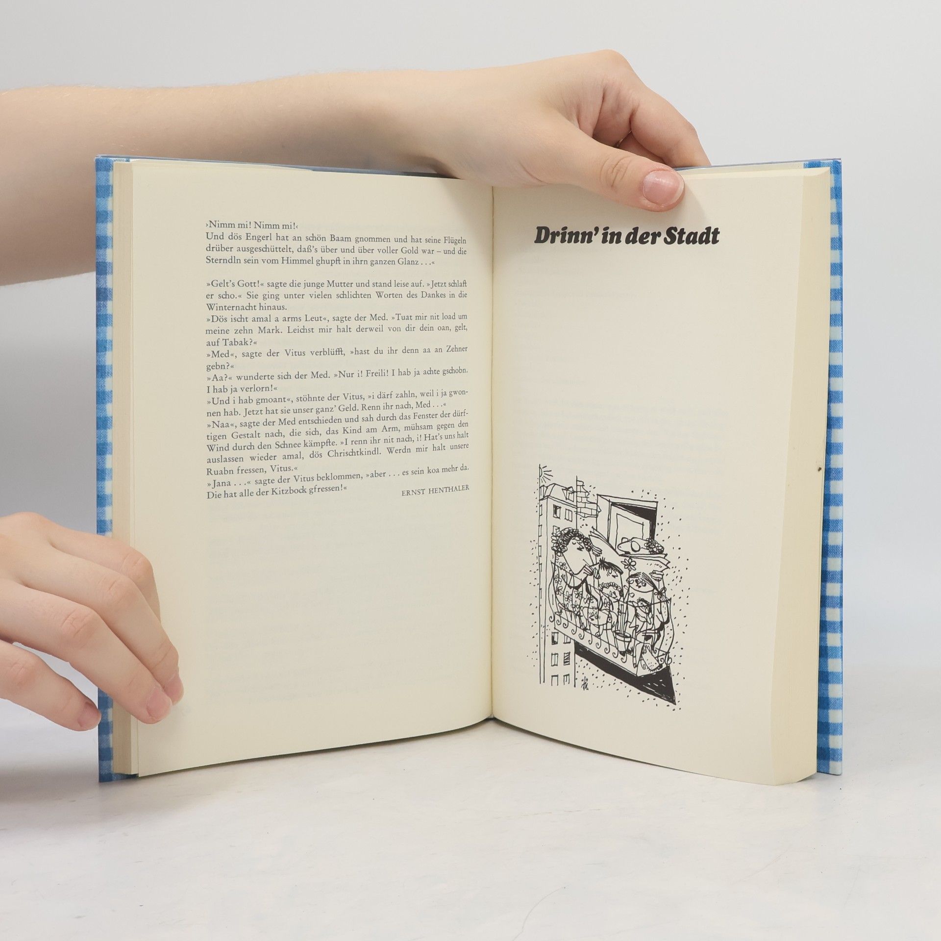 Autores varios Das weiss-blaue Kopfkissenbuch