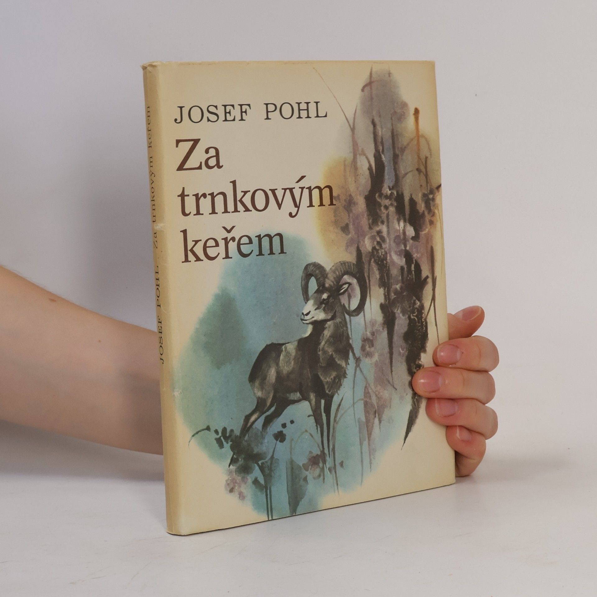 Josef Pohl Za trnkovým keřem