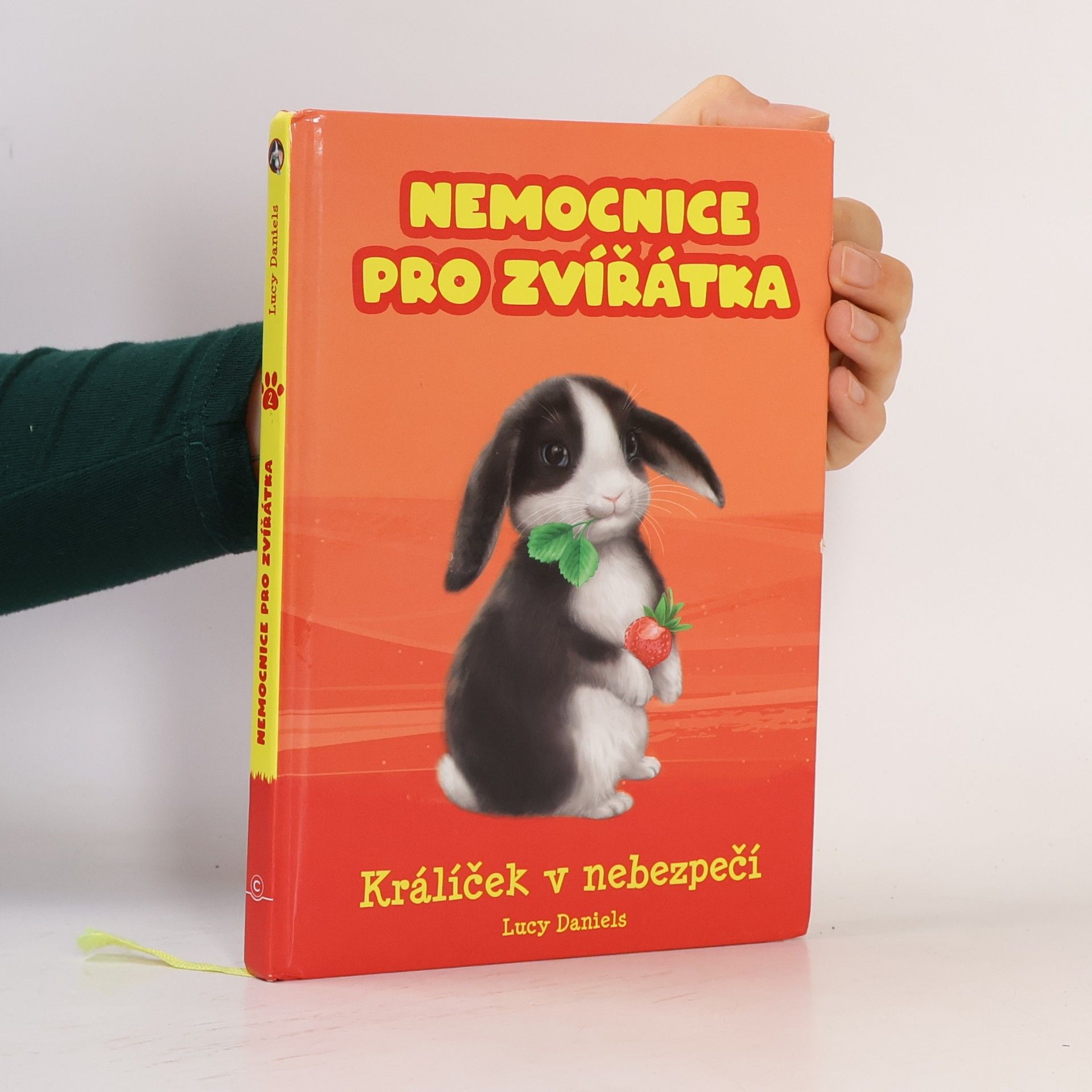 Lucy Daniels Králíček v nebezpečí
