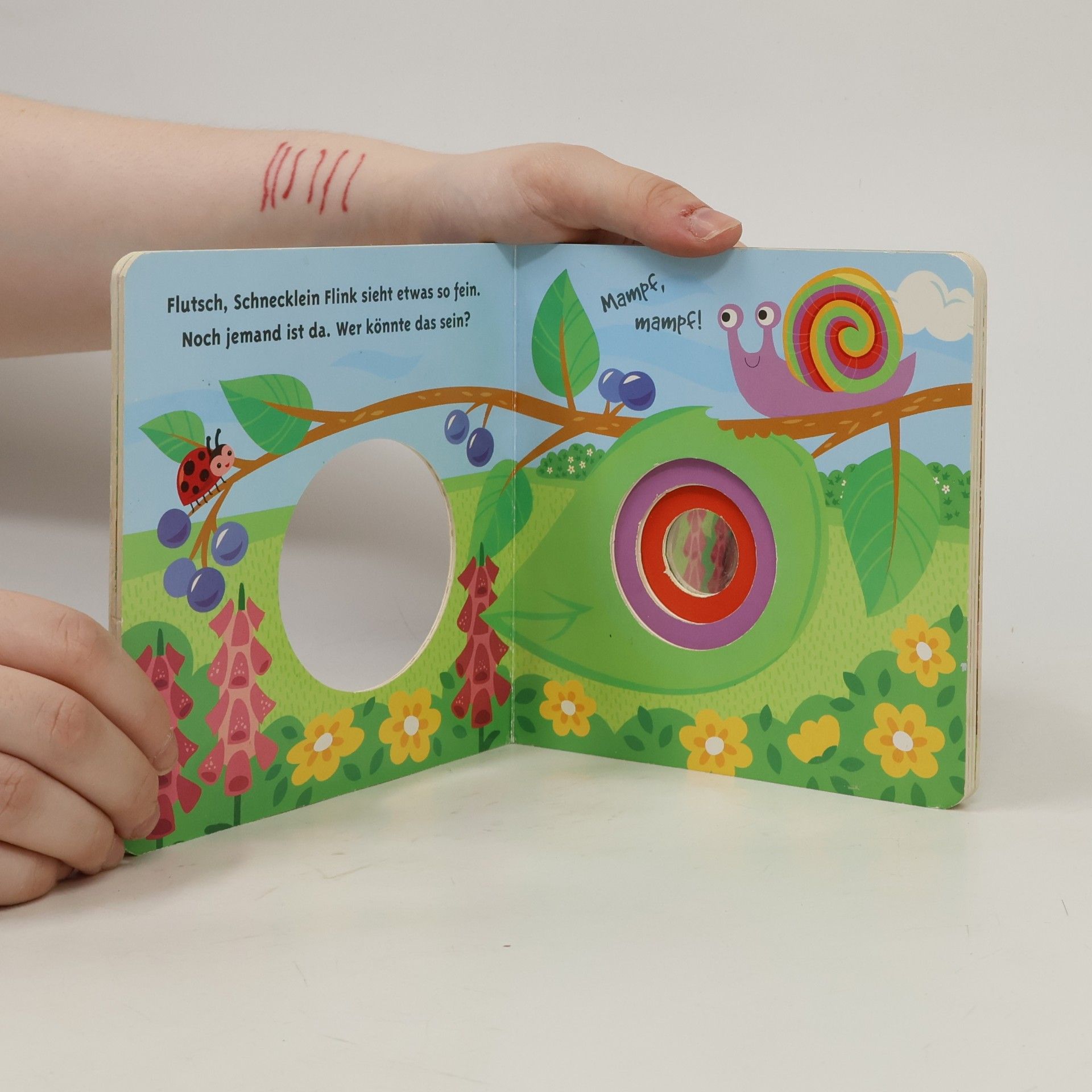 IGOO BOOKS IGOO BOOKS GmbH Babys Überraschung. Kleine Freunde