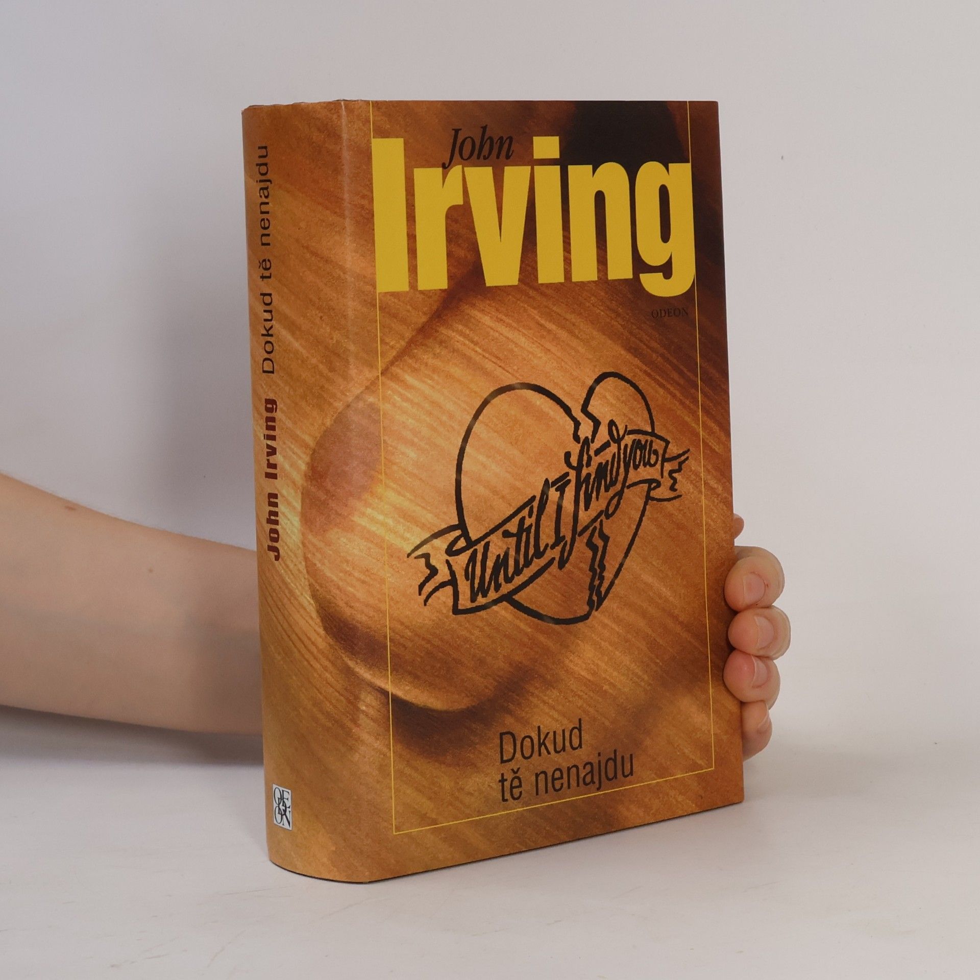 John Irving Dokud tě nenajdu