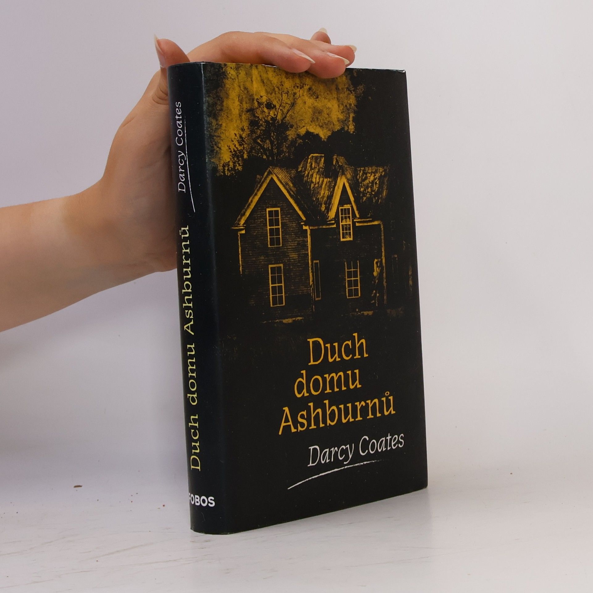 Darcy Coates Duch domu Ashburnů