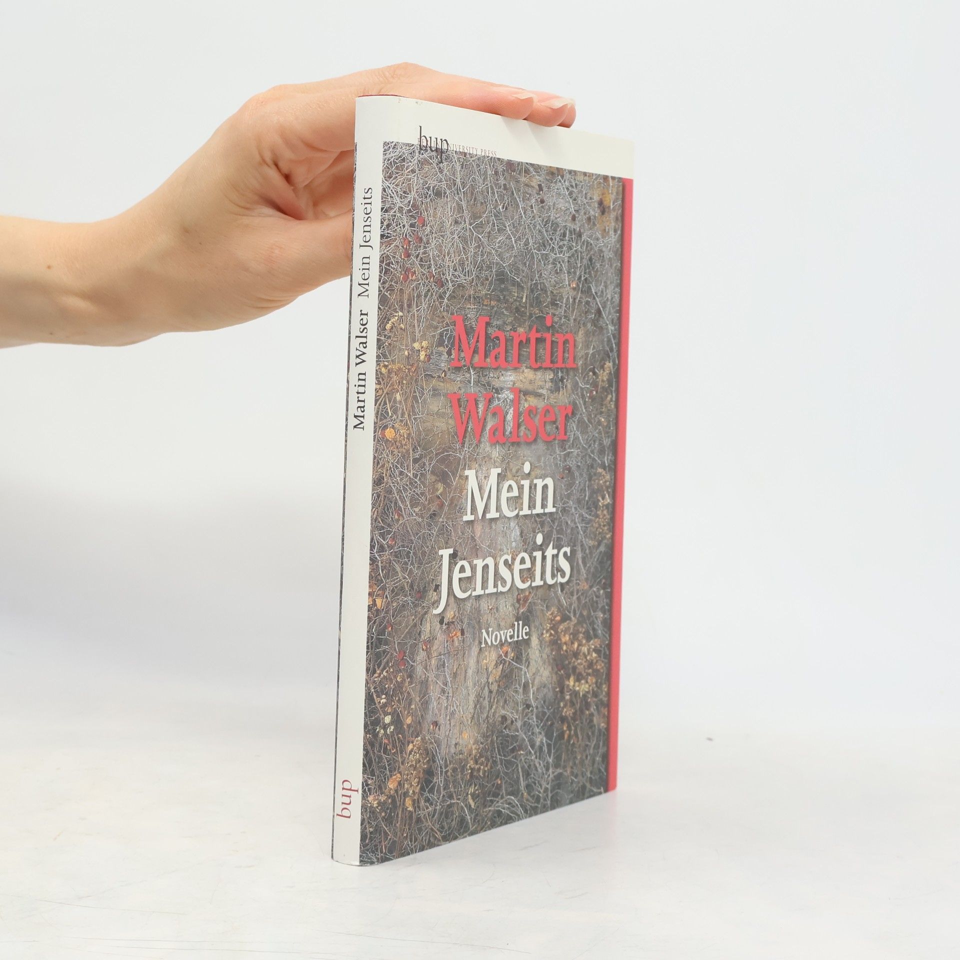 Martin Walser Mein Jenseits