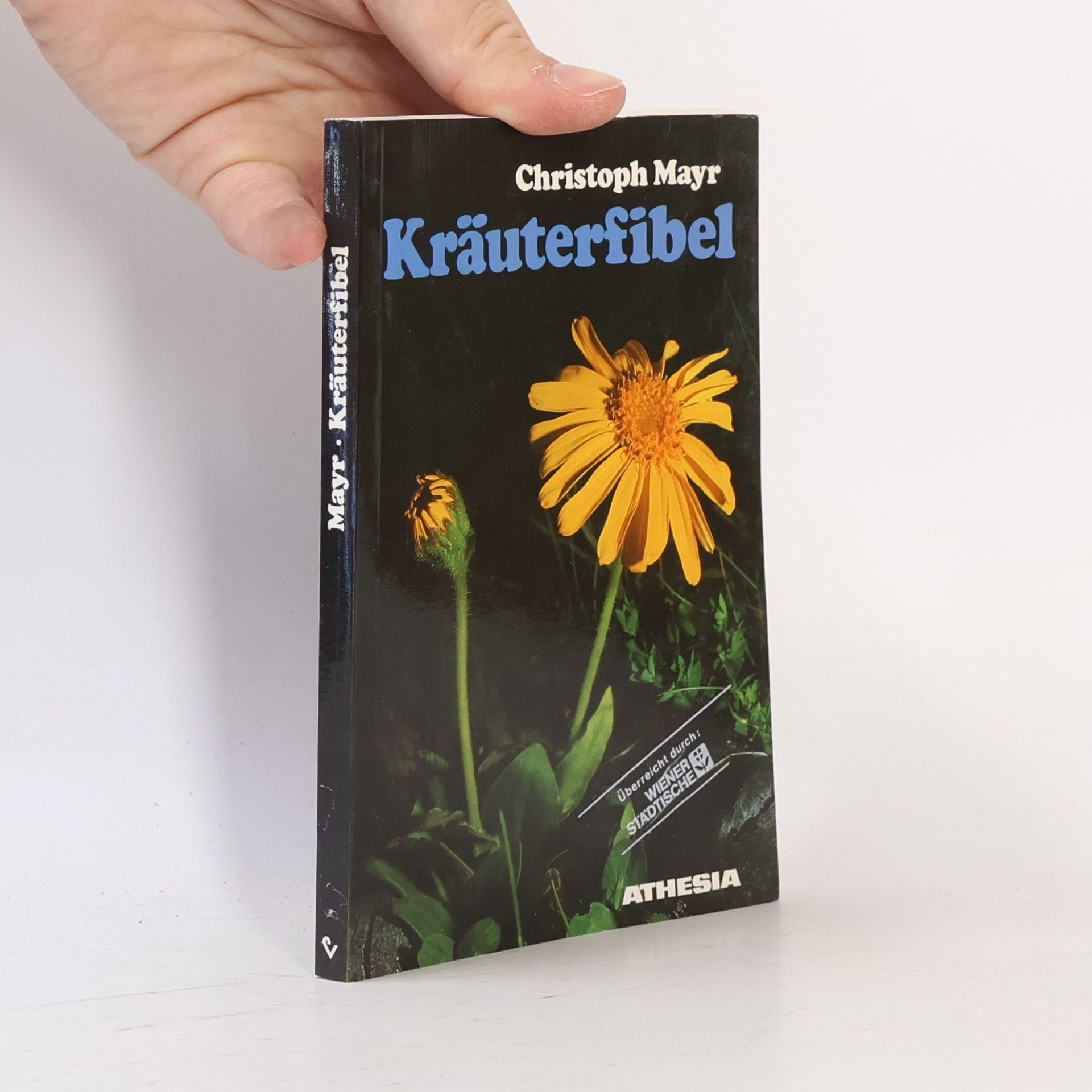 Christoph Mayr Krauterfibel. 100 wildwachsende Heilpflanzen