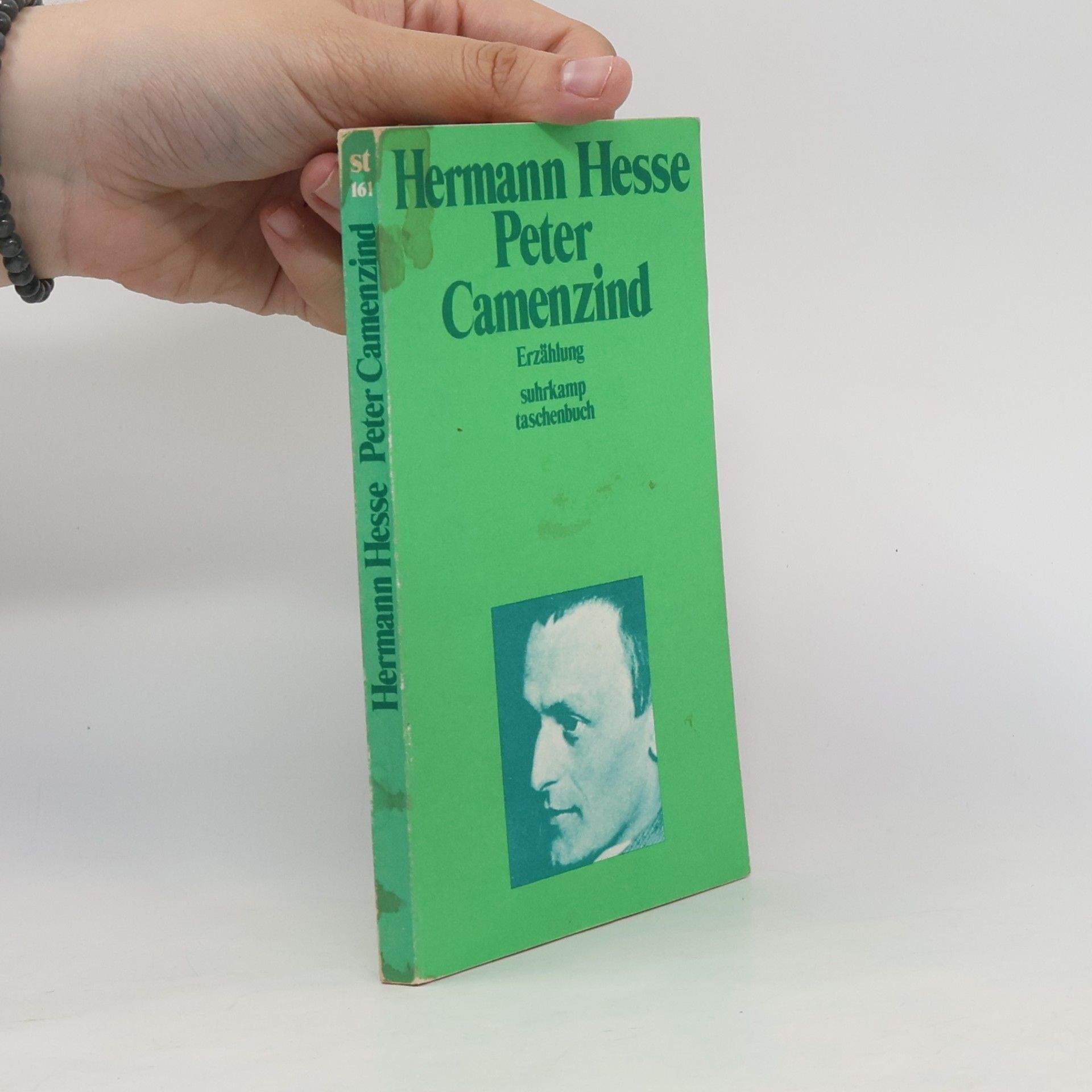 Hermann Hesse Peter Camenzind
