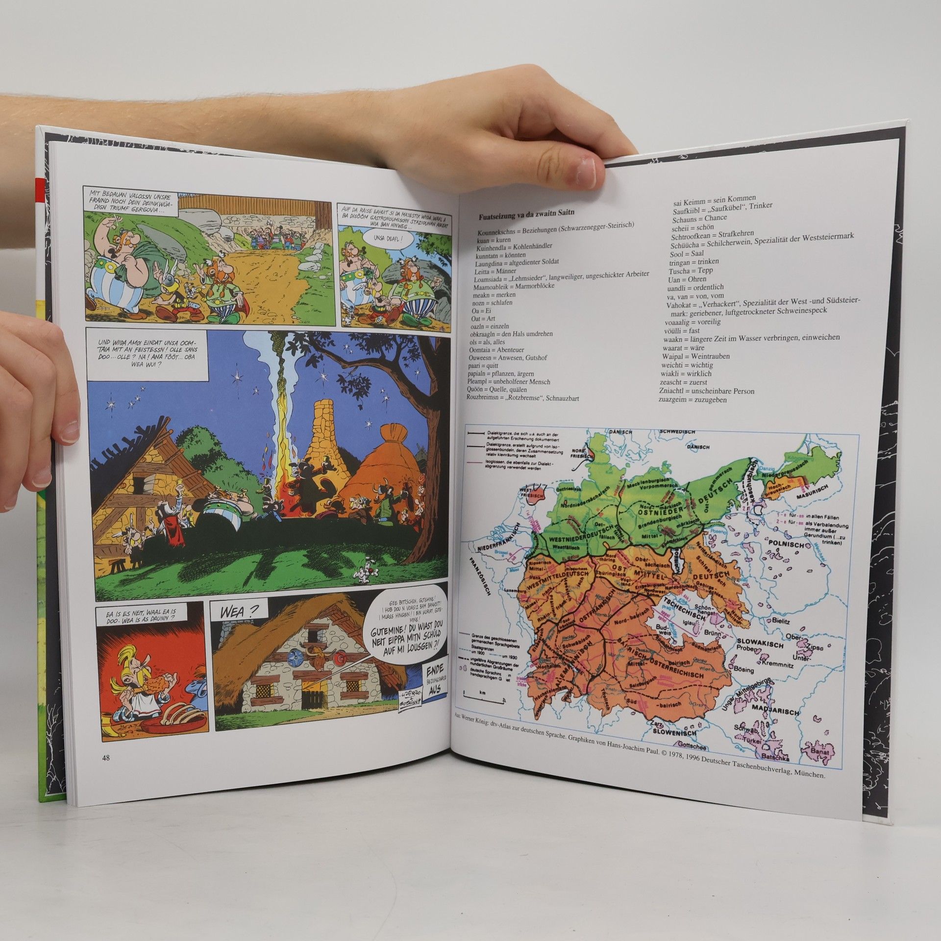 Various authors Asterix und da Aweanaschüld