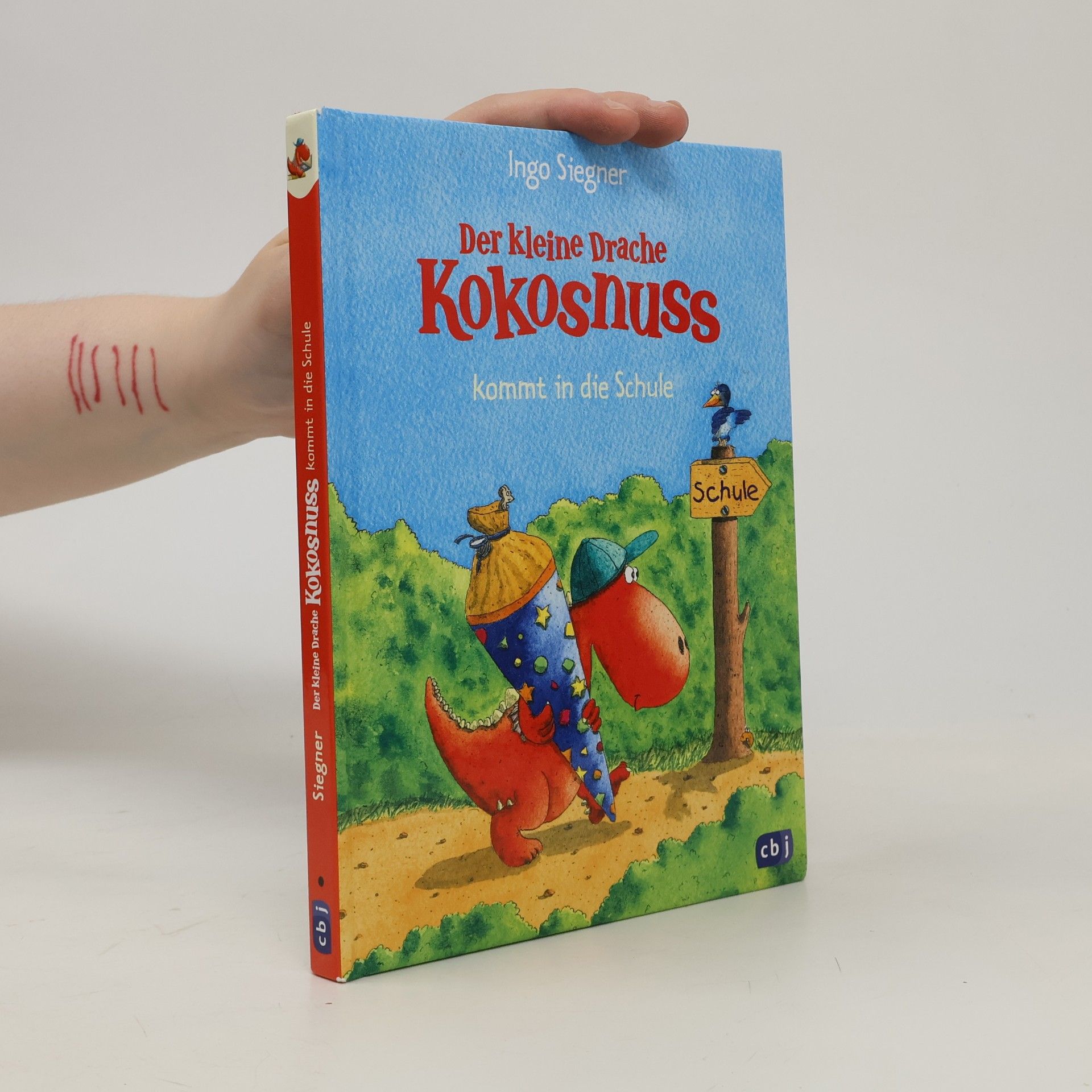 Ingo Siegner Der kleine Drache Kokosnuss kommt in die Schule
