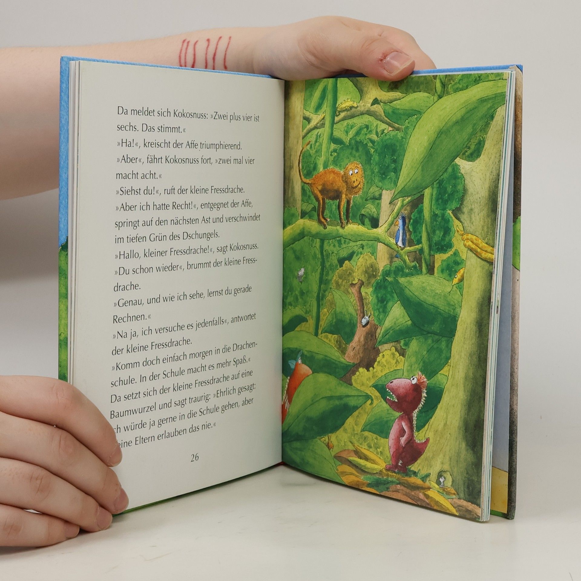 Ingo Siegner Der kleine Drache Kokosnuss kommt in die Schule