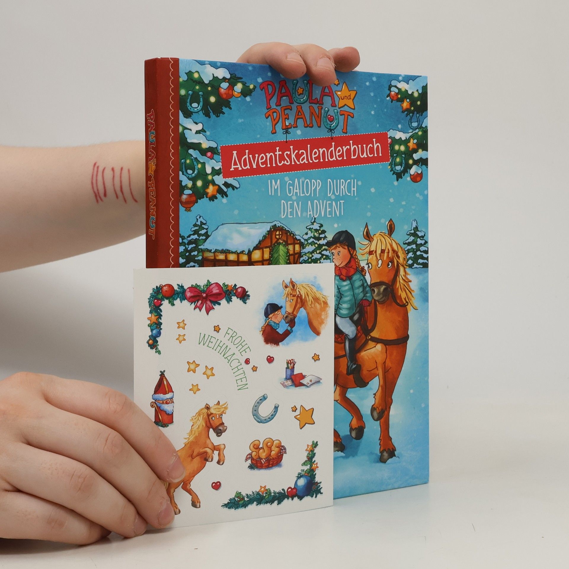 Julia Breitenöder Adventskalenderbuch. Im Galopp durch den Advent