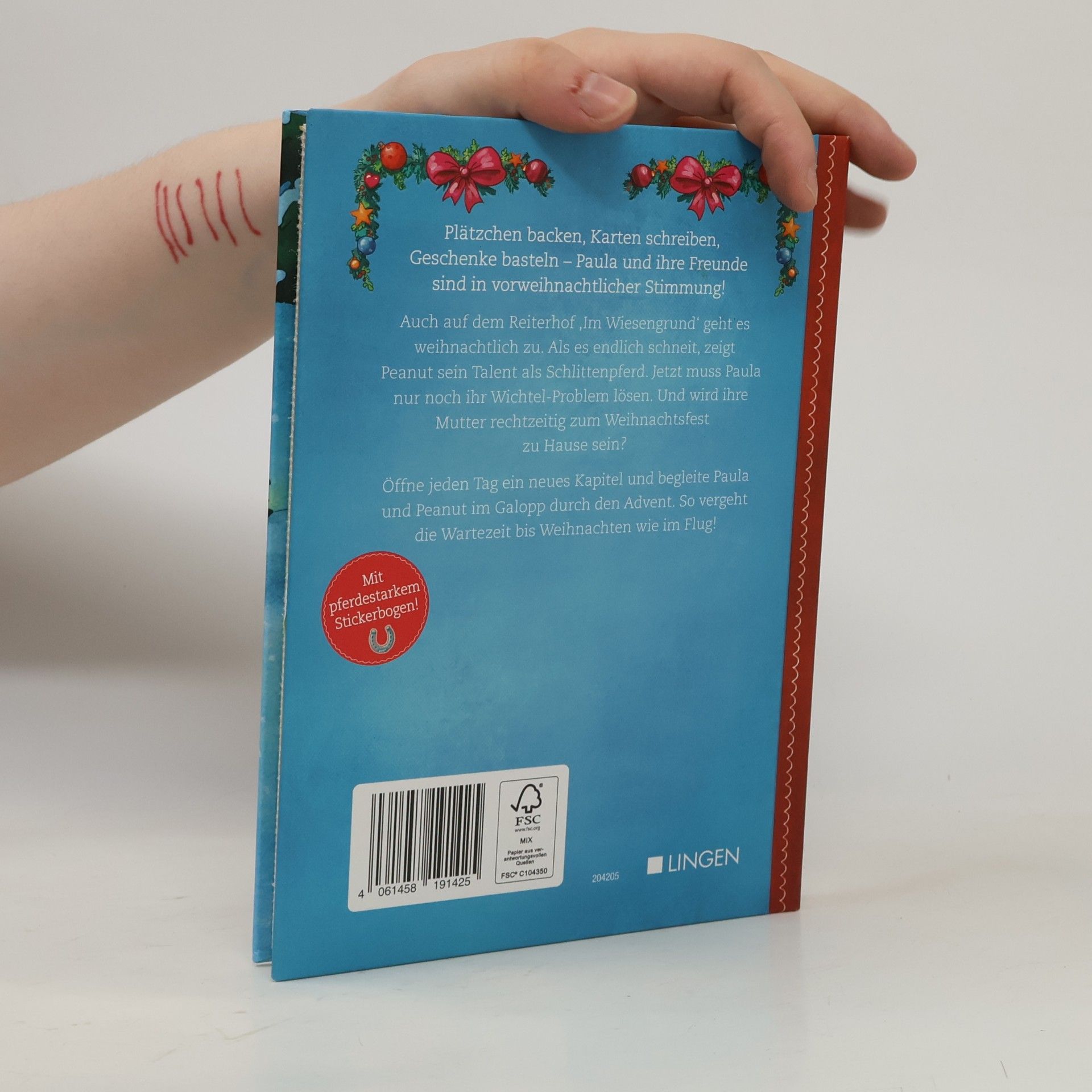 Julia Breitenöder Adventskalenderbuch. Im Galopp durch den Advent