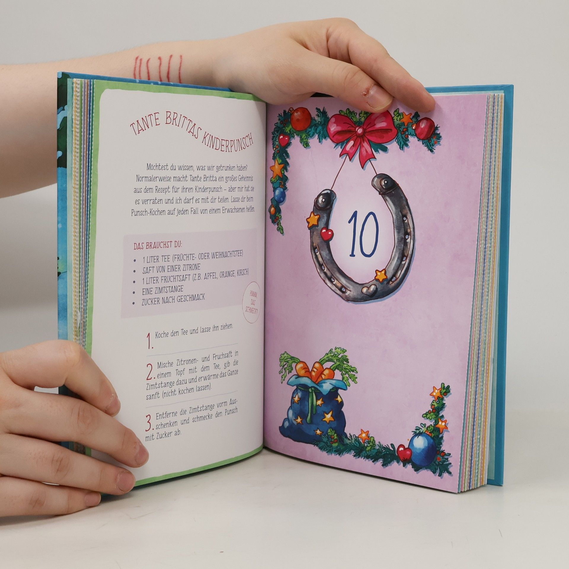 Julia Breitenöder Adventskalenderbuch. Im Galopp durch den Advent