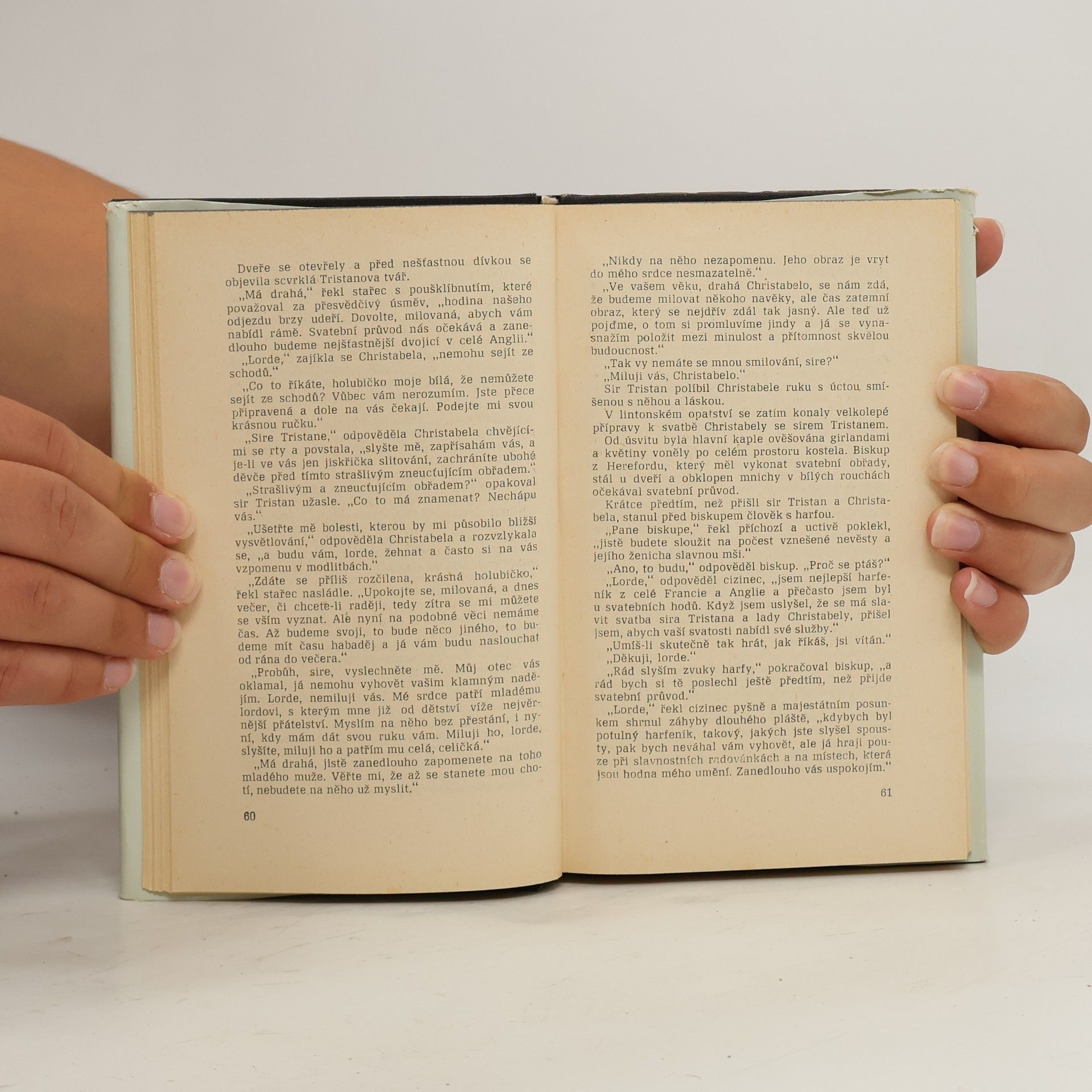 Alexandre Dumas Robin Hood