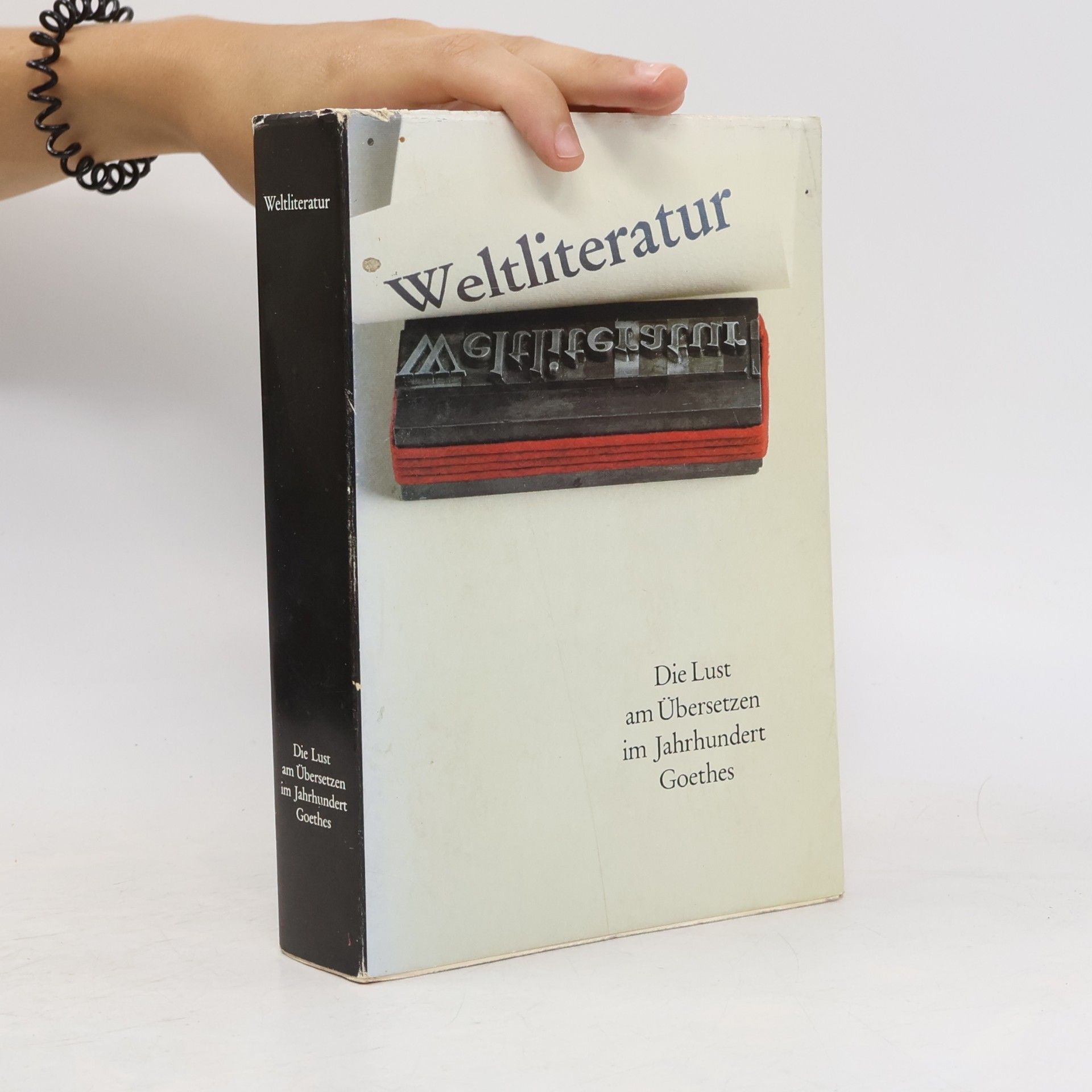 Irina Renz Weltliteratur. Die Lust am Übersetzten im Jahrhundert Goethes