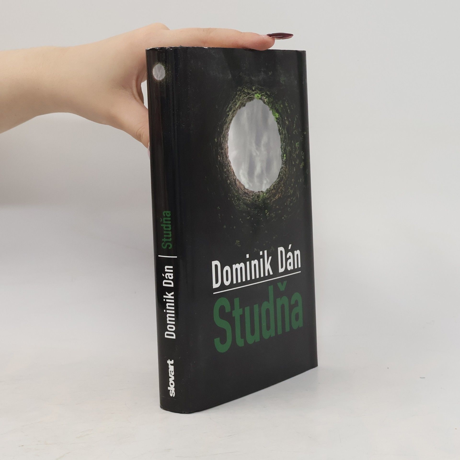 Dominik Dán Studňa