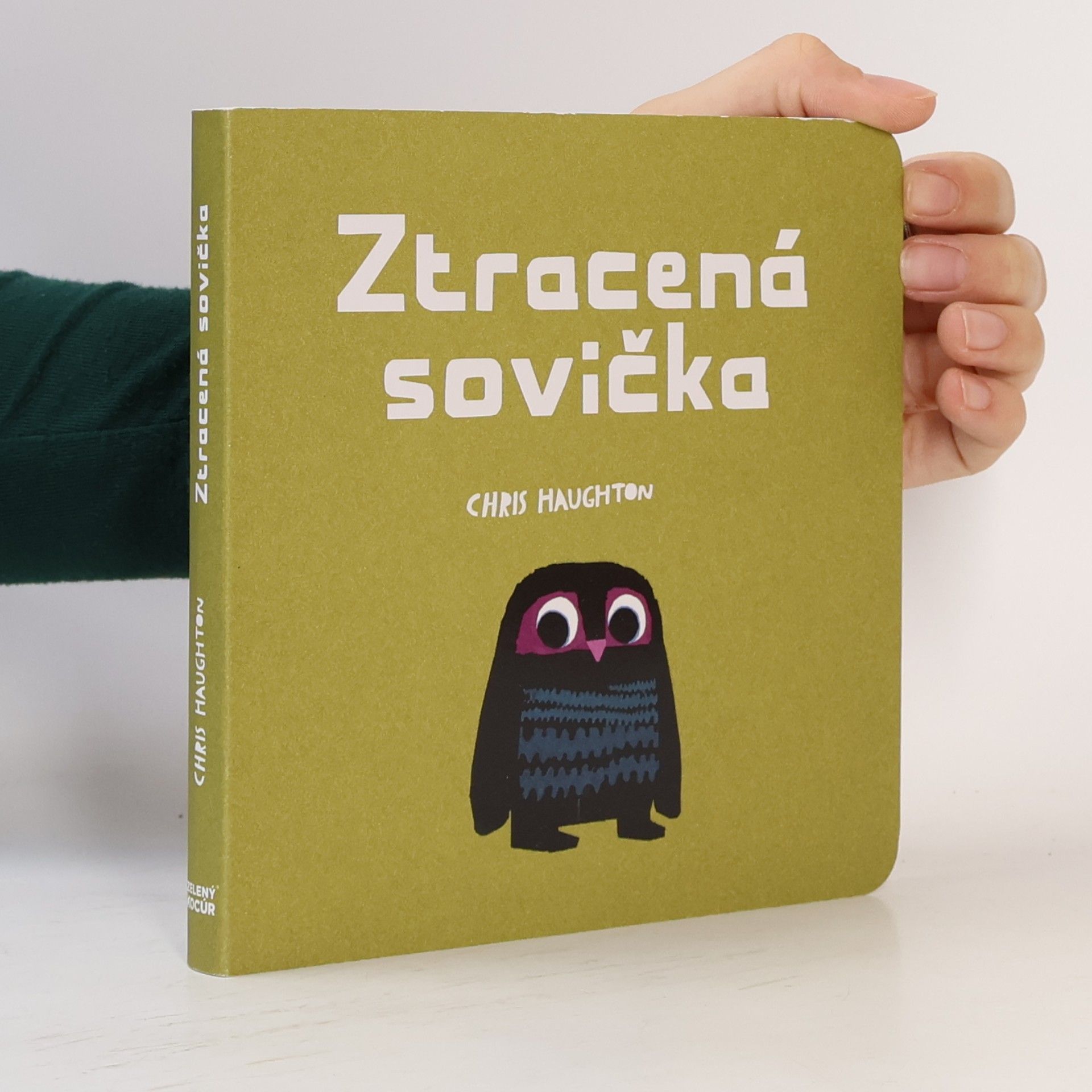 Chris Haughton Ztracená sovička