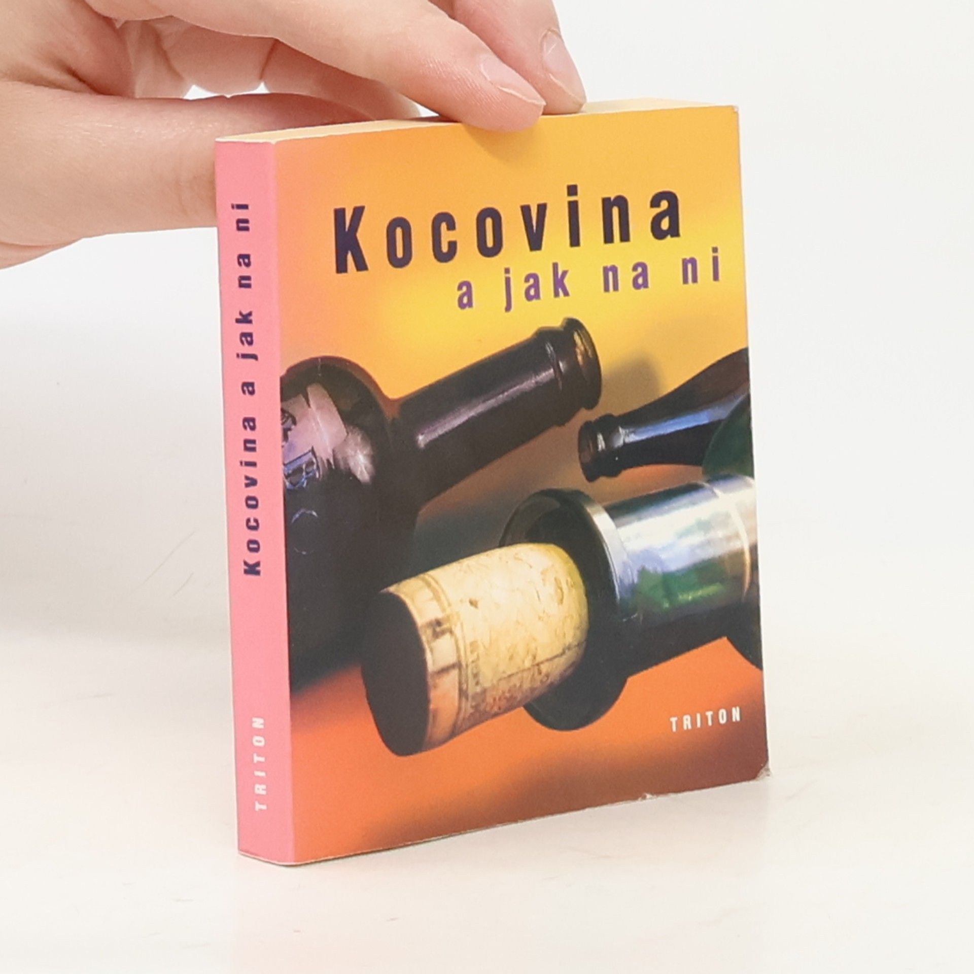 Autorenkollektiv Kocovina a jak na ni