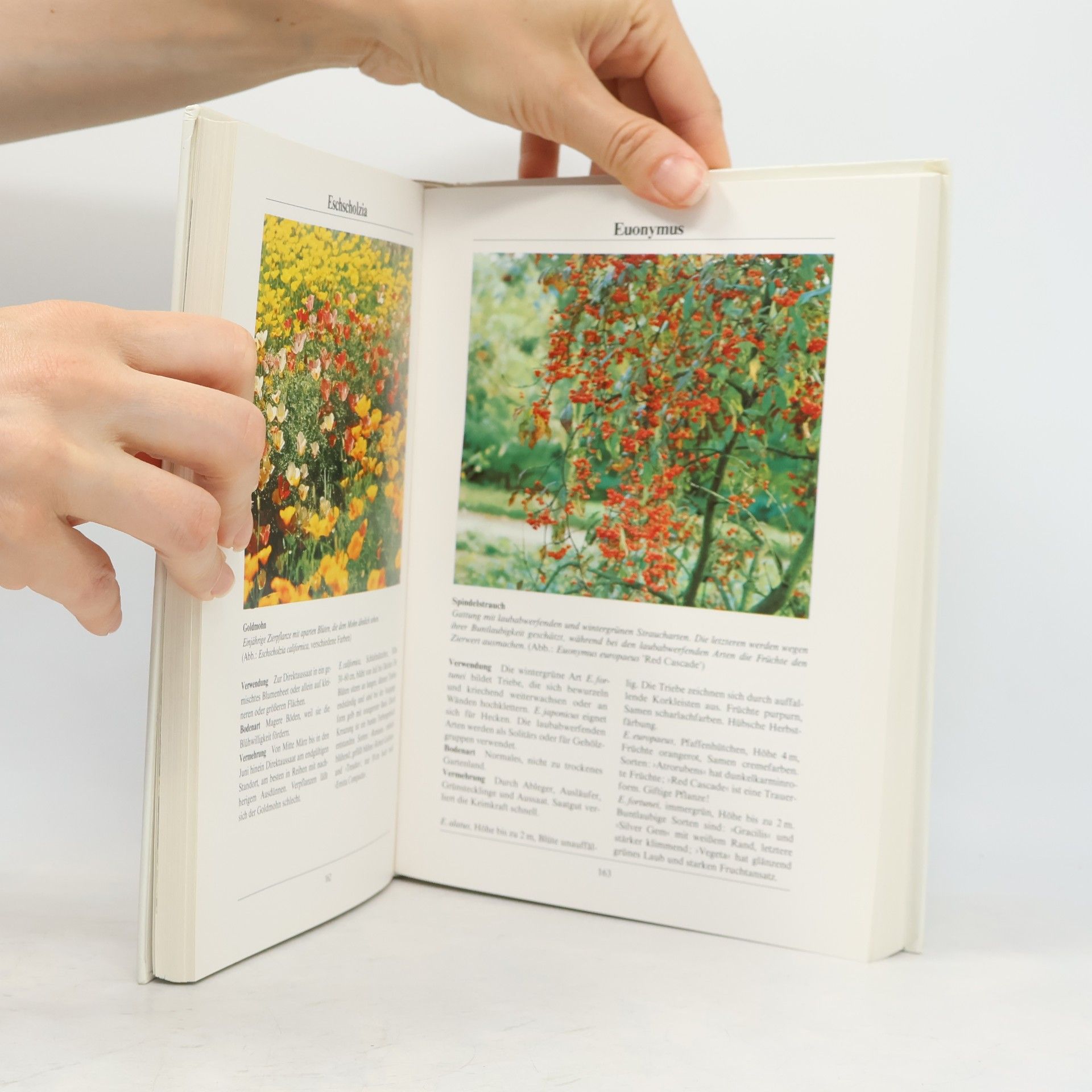 Rob Hewig Das große Buch der Gartenpflanzen
