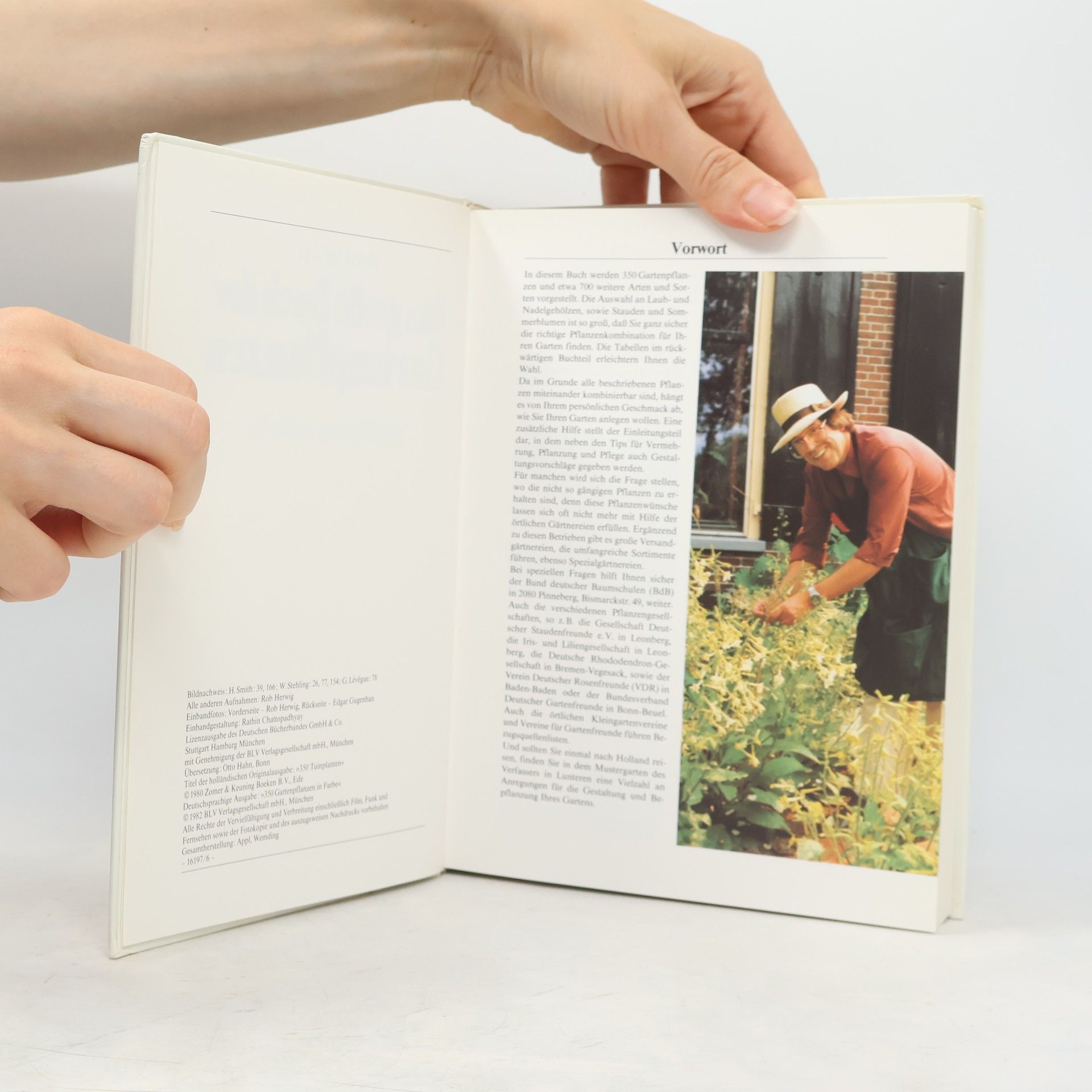 Rob Hewig Das große Buch der Gartenpflanzen