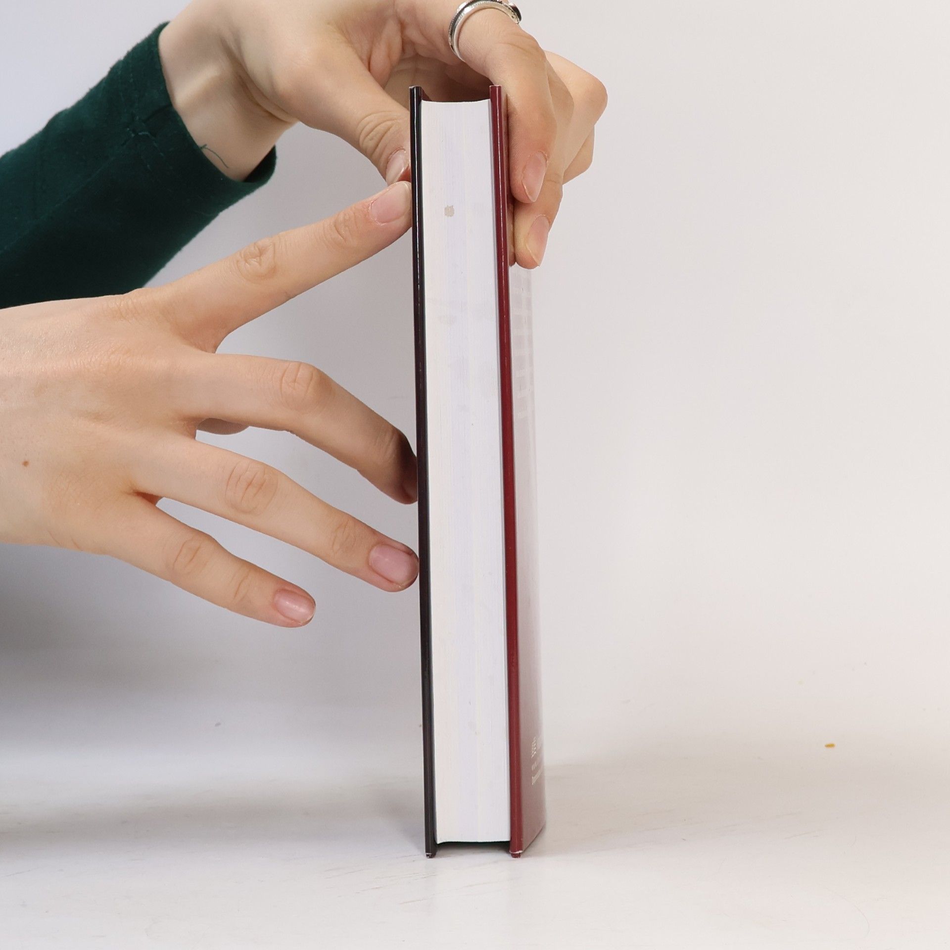 Veronica Buckley Královna Kristýna: Pohnuté osudy švédské panovnice